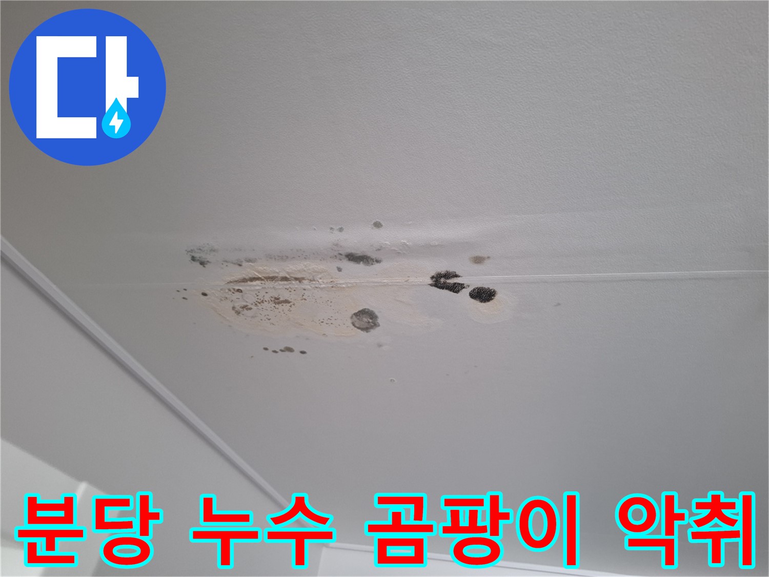천장 누수 곰팡이 - 악취 발생, 쾌적한 환경을 위해