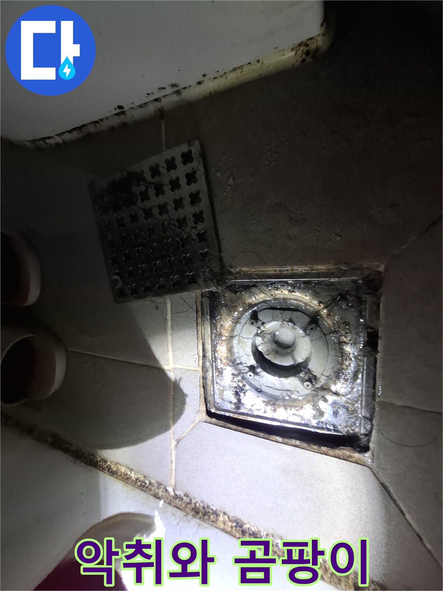 배수구 주변 악취와 곰팡이 - 누수 가능성 높음