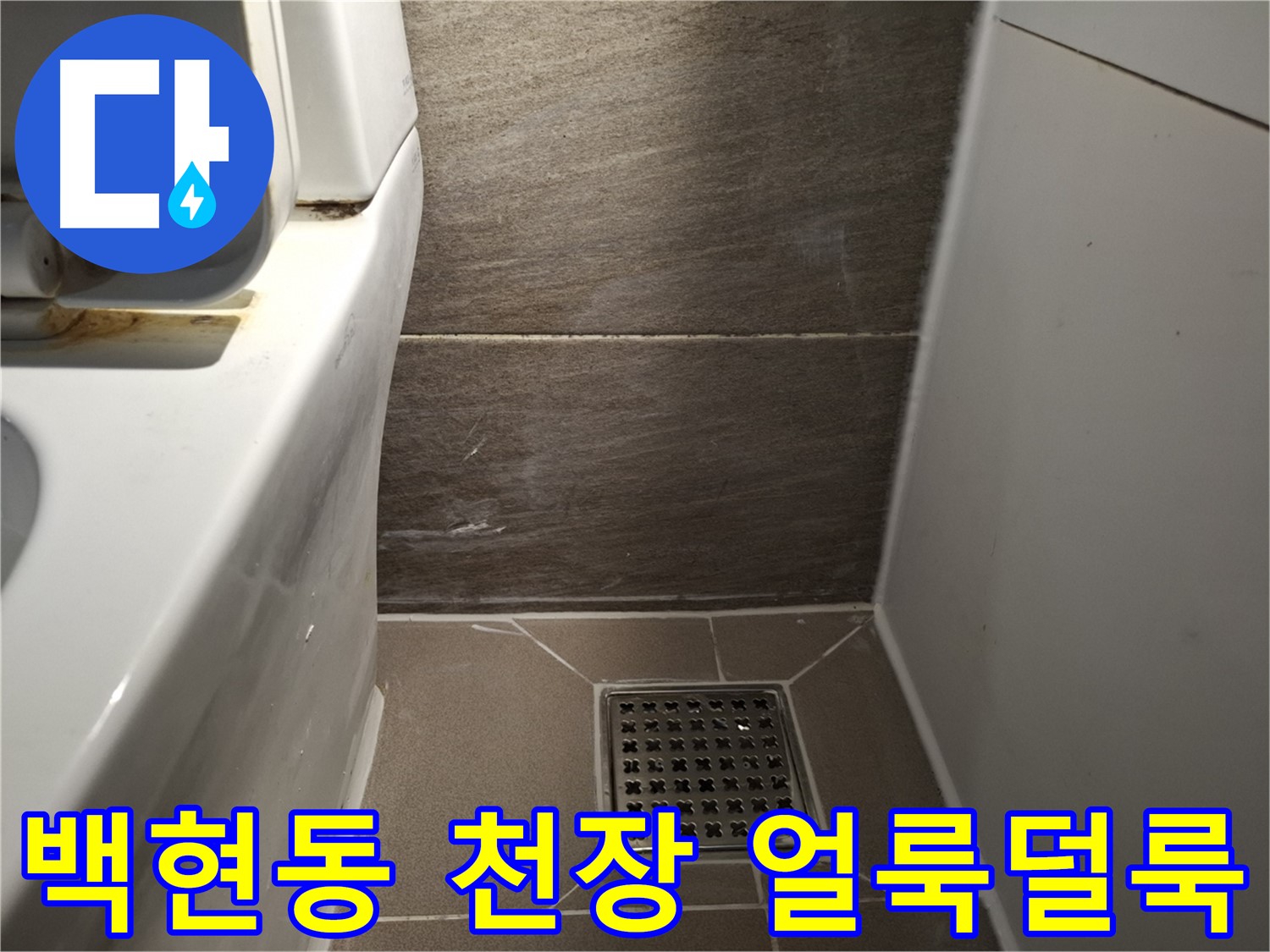판교 백현동 천장 얼룩덜룩 - 윗집 문제 의심