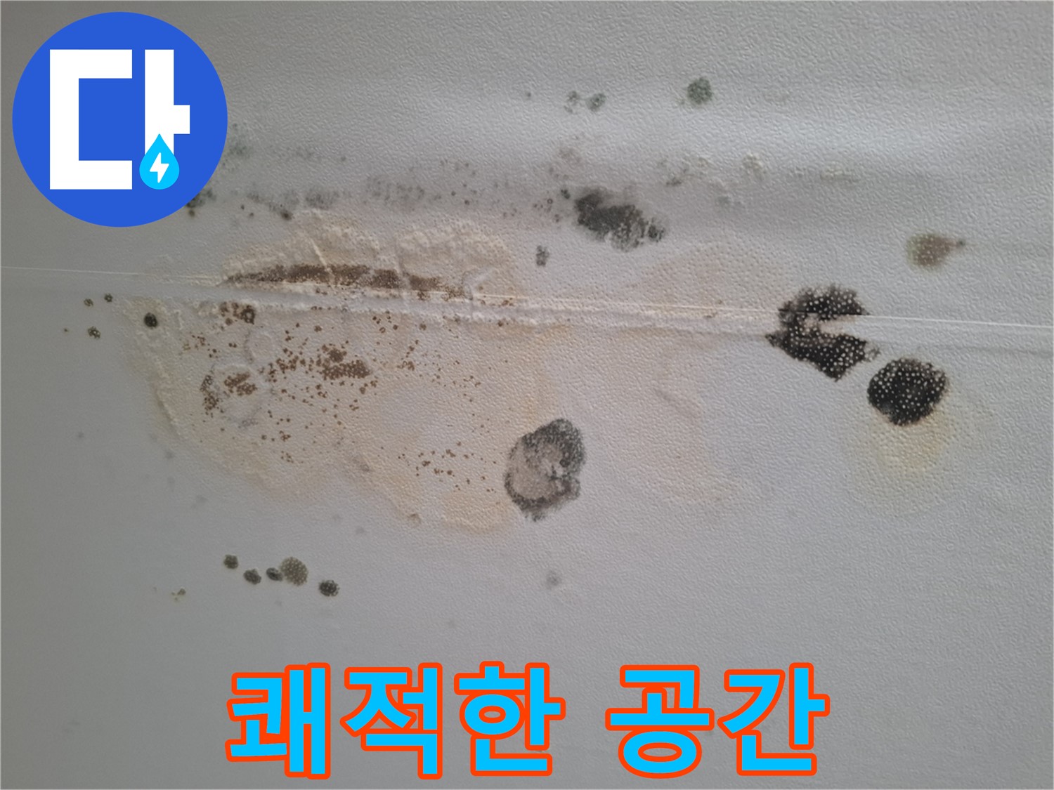 판교 봇들마을 누수 - 천장 곰팡이 제거 후 곰팡이 없는 쾌적한 공간