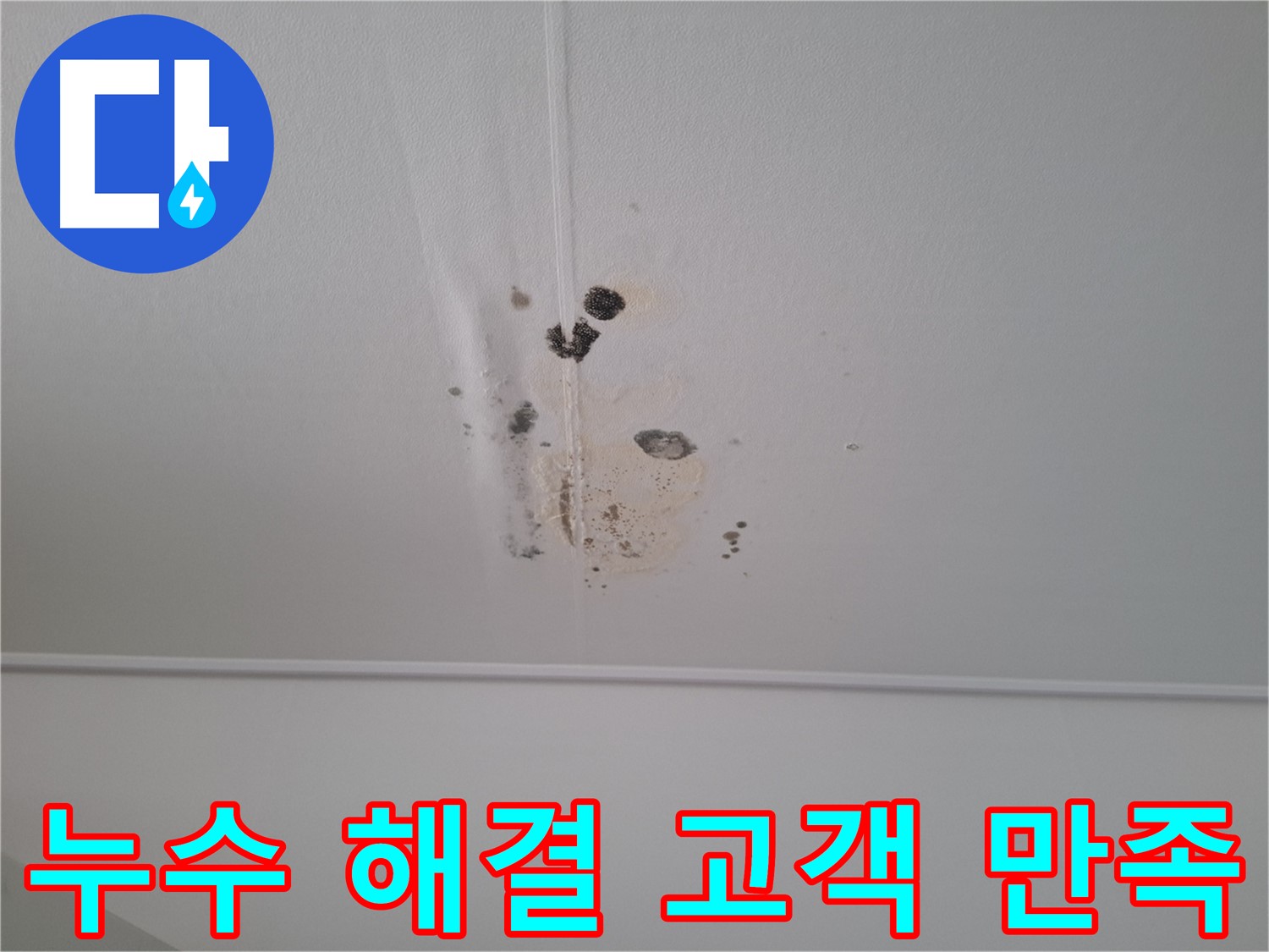판교 봇들마을 아파트 - 누수 문제 해결과 고객 만족을 최우선으로 생각합니다.