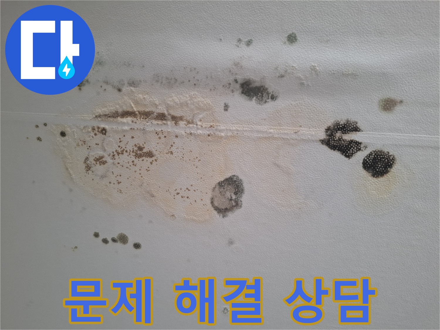 판교 봇들마을 이지더원 누수 - 곰팡이 누수 문제 해결 전문 상담