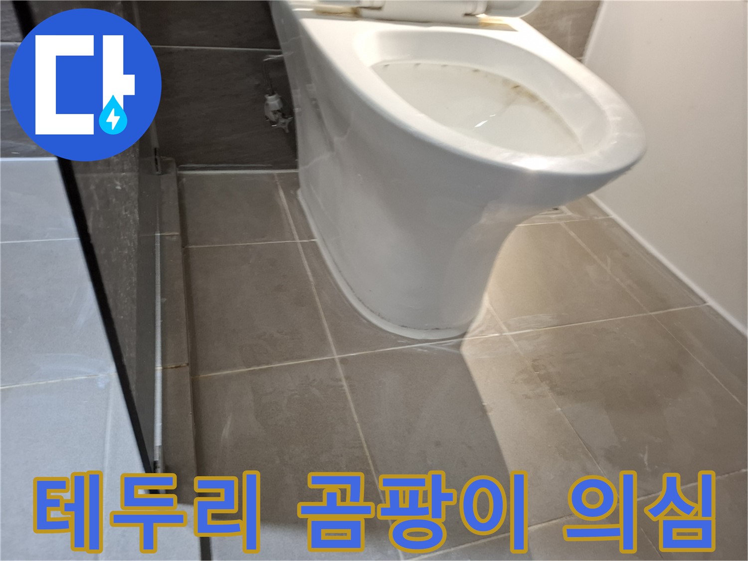 판교 삼평동 봇들마을 - 변기 테두리 곰팡이 - 누수 초기 의심 점검