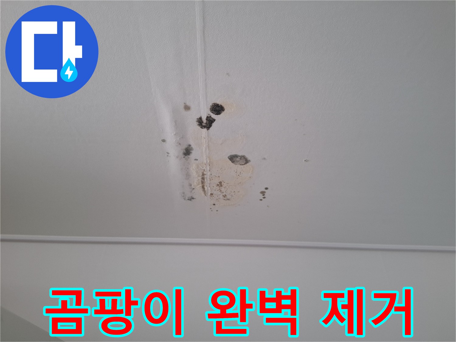 판교 삼평동 봇들마을2단지 아파트 - 누수와 곰팡이 문제를 완벽하게 제거해 드립니다.