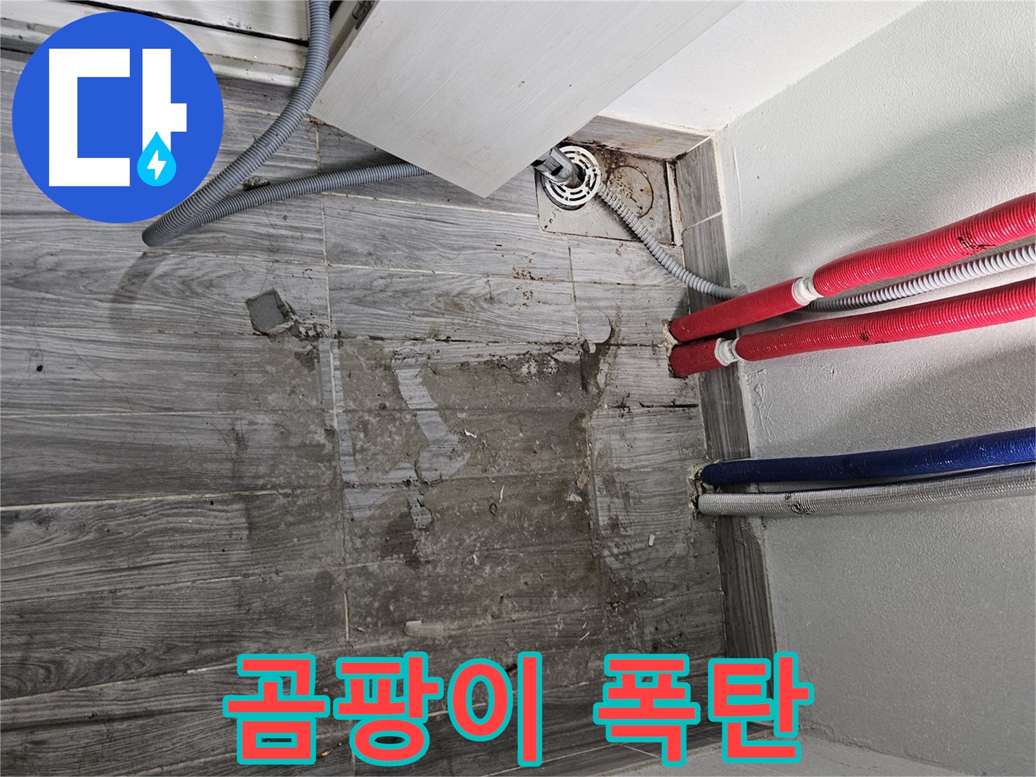 강동구 세탁실 누수 - 곰팡이 폭탄 터지기 직전!