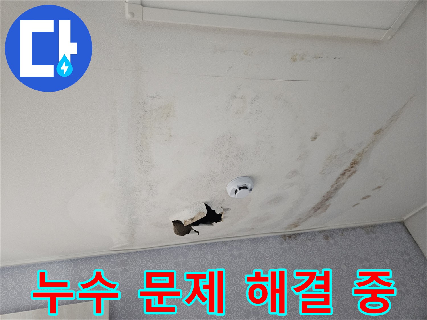 강동구 천중로 아파트 천장 누수 - 누수 문제를 해결하기 위해 최선을 다하는 전문가의 모습 - 고객님의 만족을 위해 항상 노력합니다