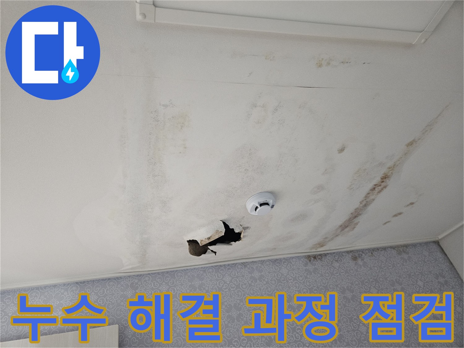 강동구 천중로 아파트 천장 누수 - 누수 해결 과정을 꼼꼼하게 점검하고 확인하는 모습 - 완벽한 시공을 약속드립니다