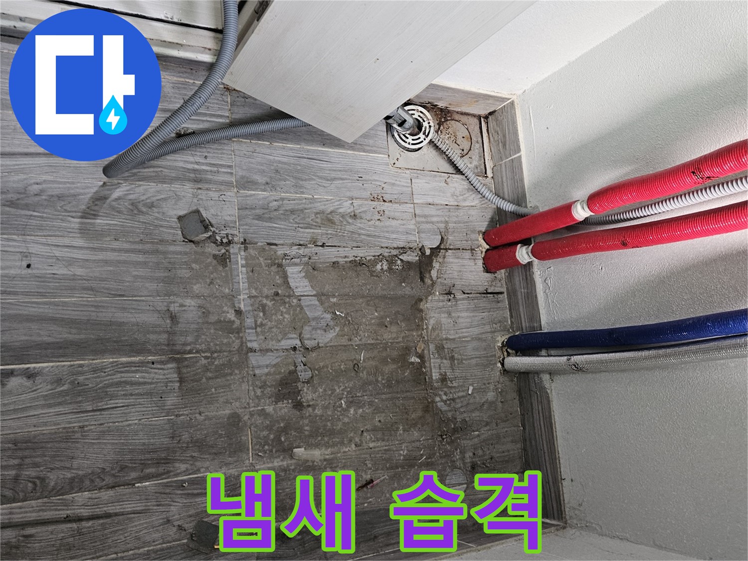 강동구 천호동 세탁실 누수 - 냄새 습격 사건!