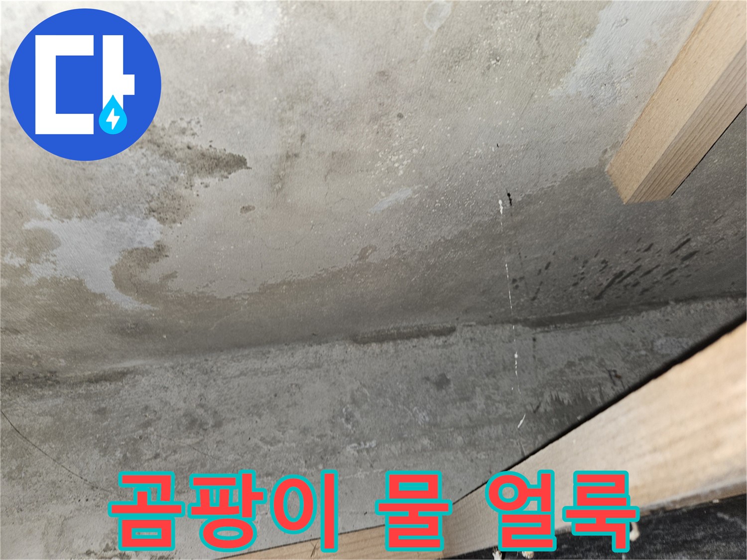 곰팡이 물 얼룩 - 누수로 인해 곰팡이가 피고 물 얼룩이 생긴 천장의 모습입니다.