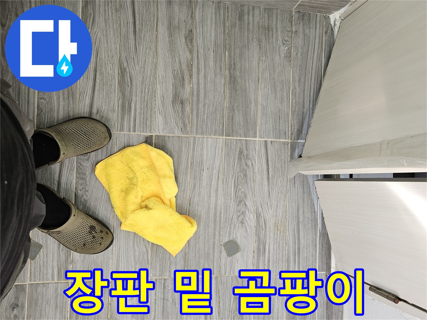 장판 밑에 핀 곰팡이 - 숨겨진 누수의 증거입니다.