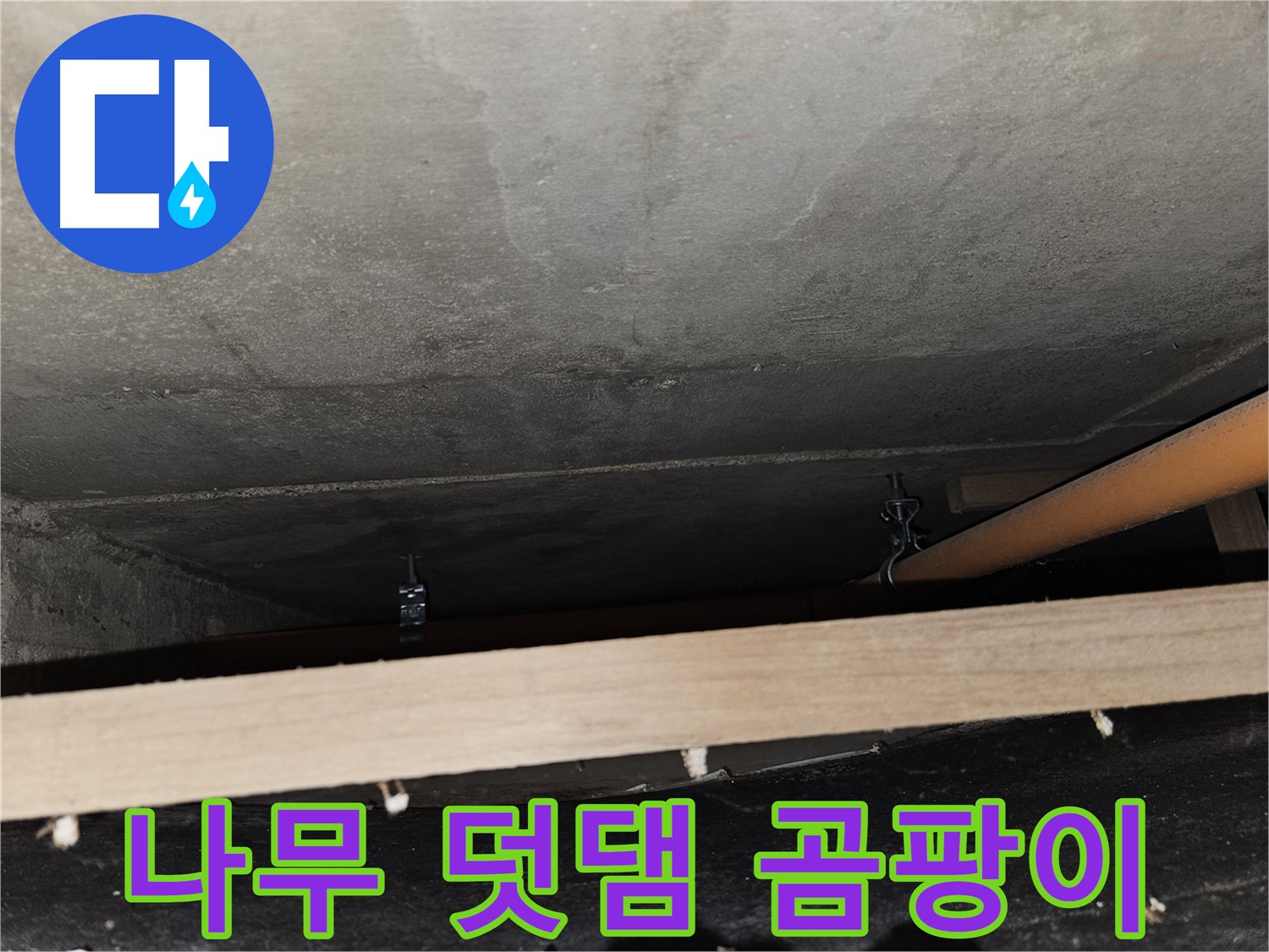 천장 배관 - 나무 덧댐 - 곰팡이, 변형, 하중 집중