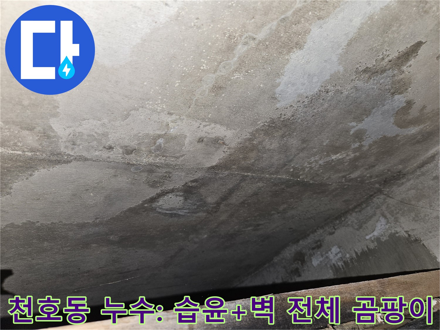 천호2동 아파트 누수 - 습윤, 벽 전체 곰팡이