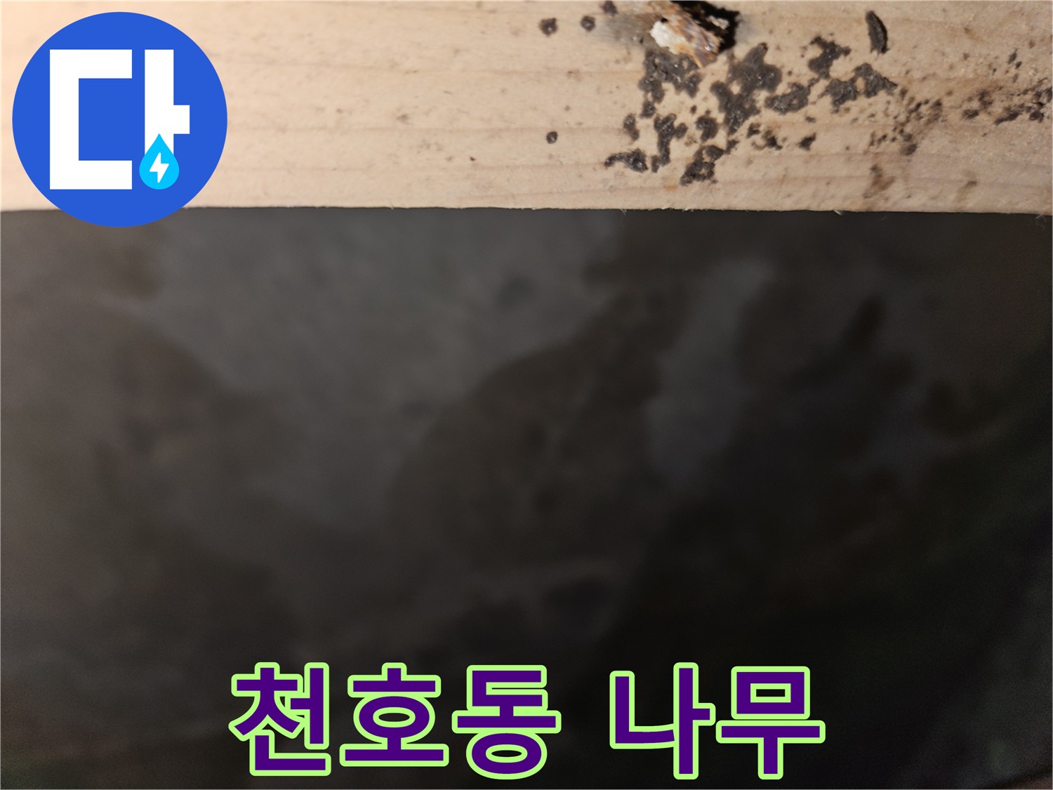 천호동 아파트 누수 - 나무 깊은 곳 변색 차단 - 최고