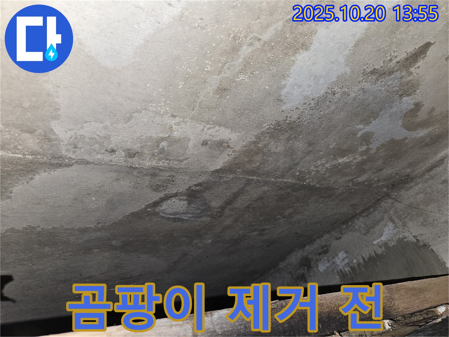 천호동 아파트 콘크리트 천장 누수 - 곰팡이 제거 전 심각한 상태를 보여주는 이미지