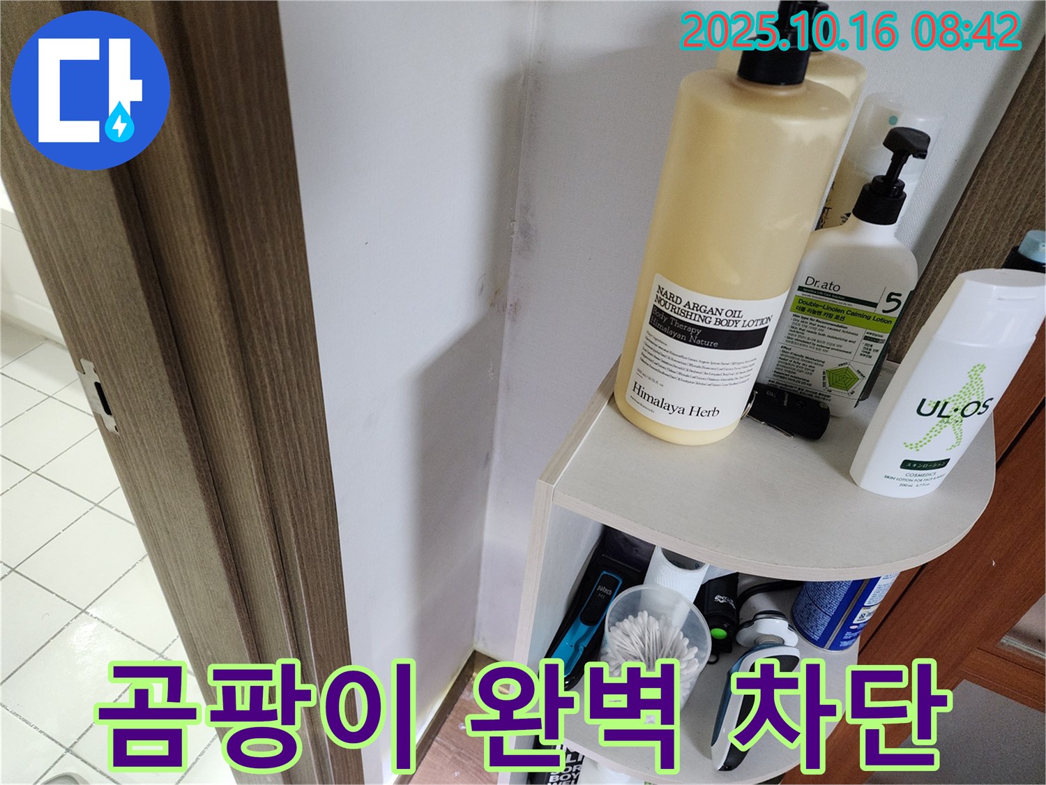 양주 남면 경신리 욕실 곰팡이 - 누수 문제 해결로 완벽 차단, 쾌적한 욕실로 변신!
