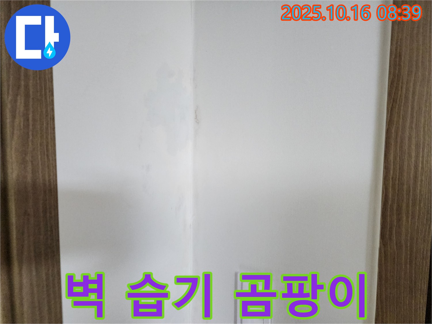 양주시 남면 경신리 주택 벽 모서리 습기 - 곰팡이 속삭임 무시, 누수 탐지 필요