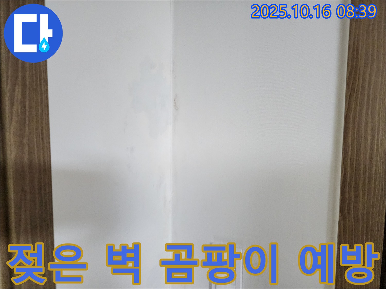 양주시 남면 주택 젖은 벽 - 곰팡이 발생 전 누수 점검 이미지