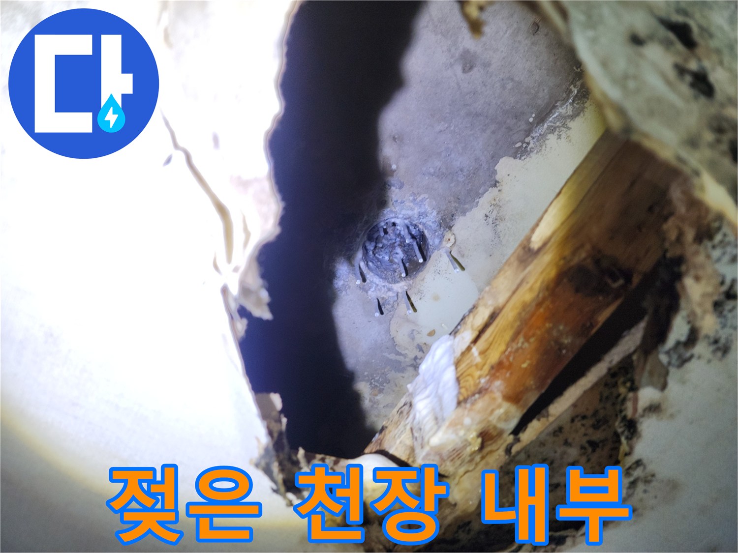 천장 절개 후 드러난 젖은 배관 및 마감재