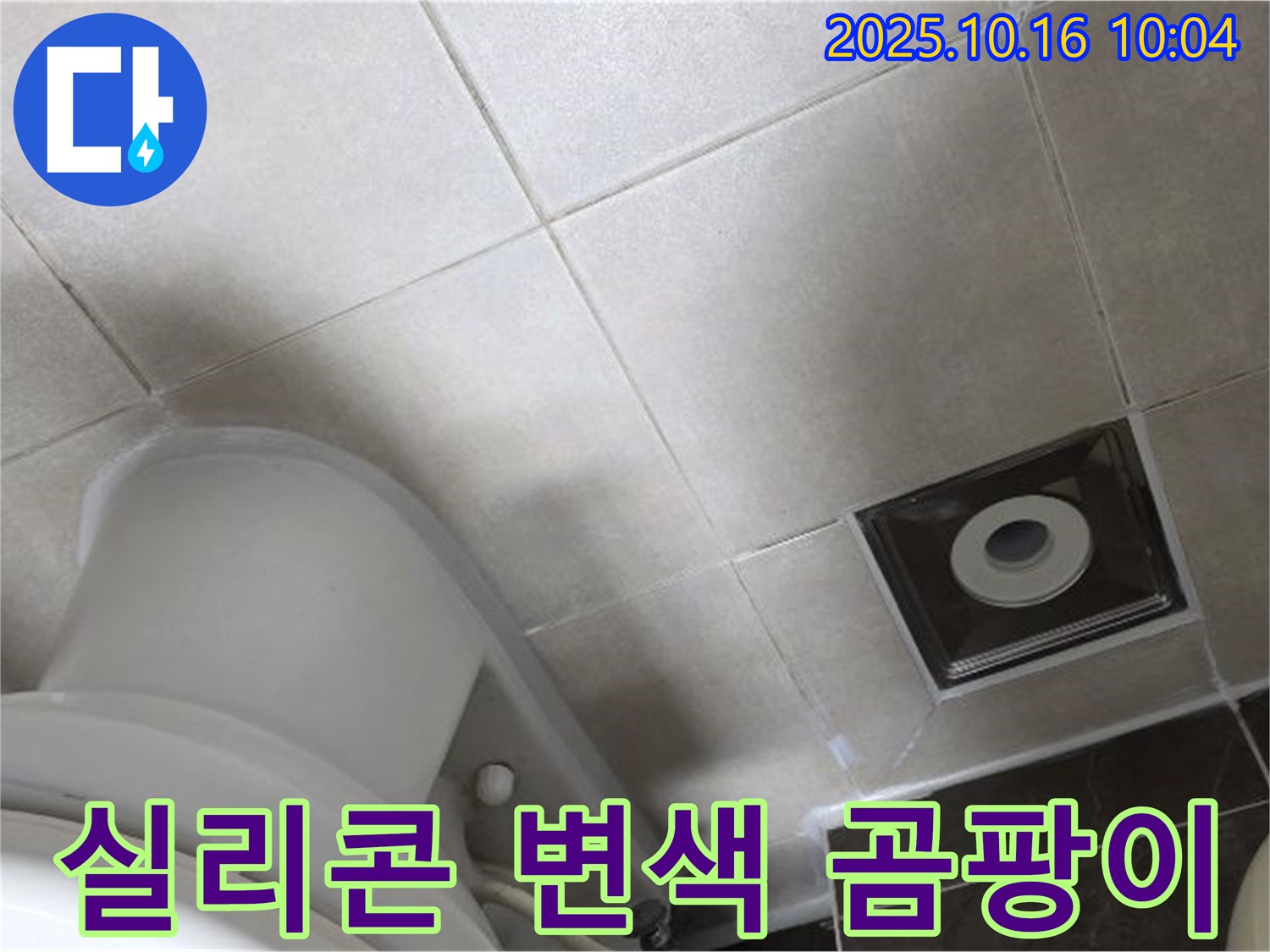 양주 율정마을 화장실 누수 - 변기 주변 타일 틈새 실리콘 변색 및 곰팡이