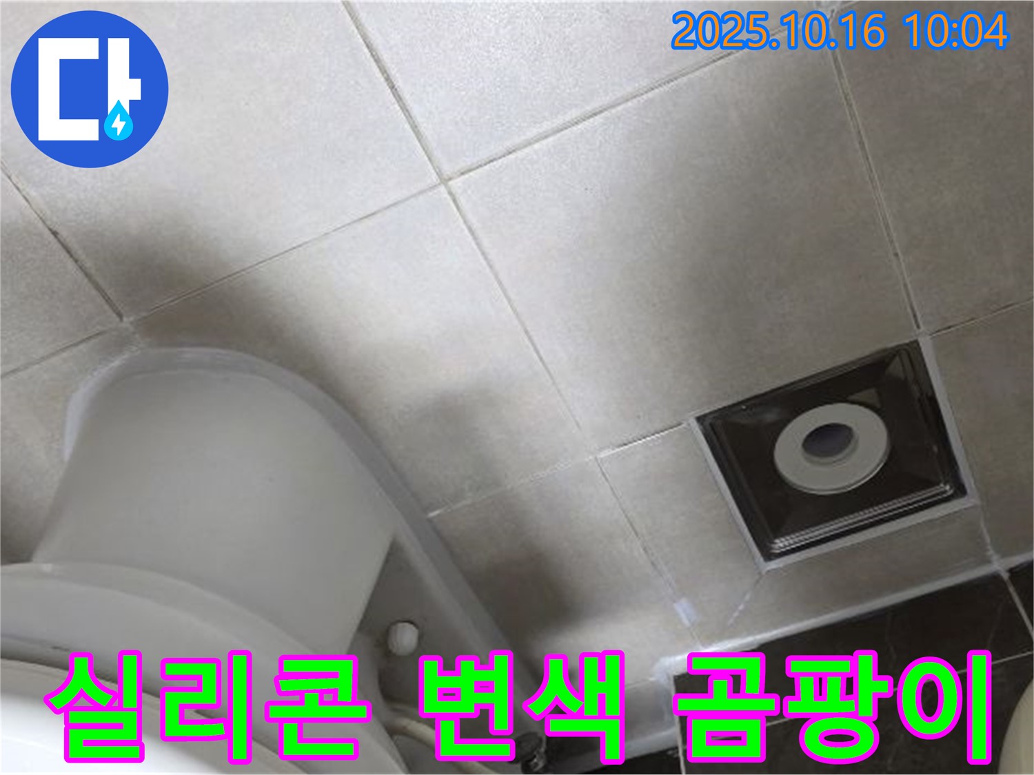 양주 율정마을 화장실 누수 - 변기 주변 타일 틈새 실리콘 변색 및 곰팡이 초기 발생 누수