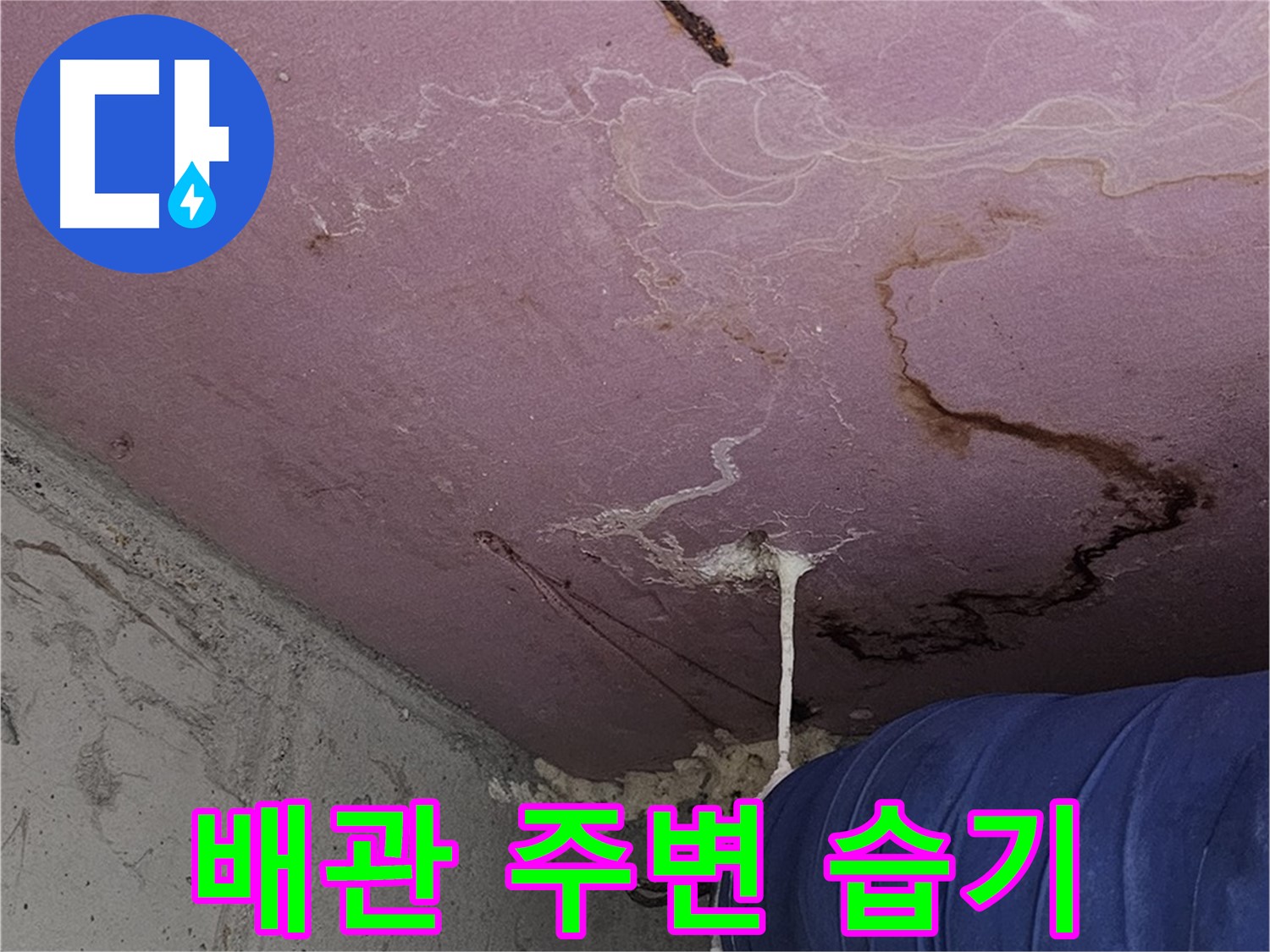 신월동 양천구 누수 - 배관 주변 습기, 정밀 진단 필요