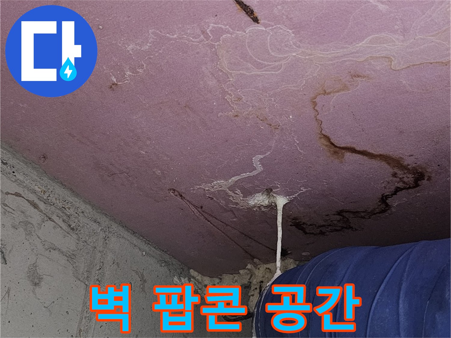 신월동 양천구 누수 - 벽 팝콘 - 쾌적한 공간