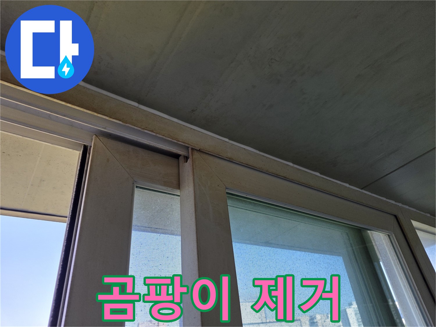 신월동 양천구 창틀 누수 - 곰팡이 발생 - 곰팡이 제거 전문가
