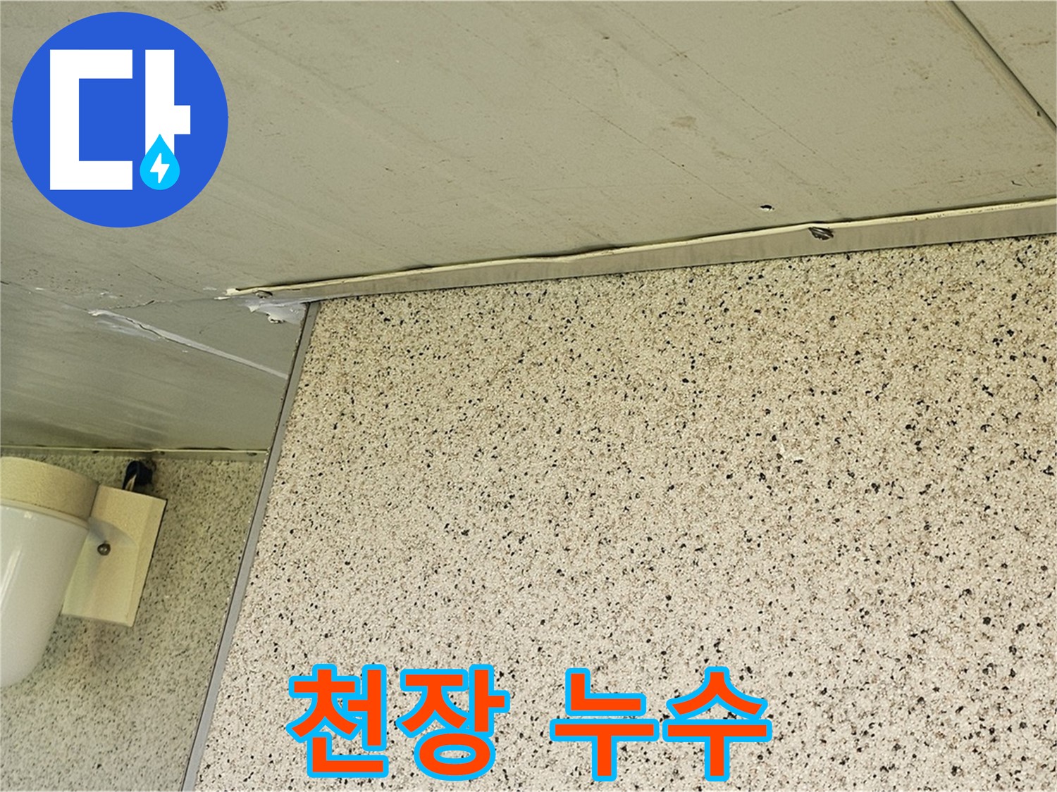 신월동 엘리시안 아파트 천장 누수 - 양천구 누수탐지 전문 업체의 확실한 해결