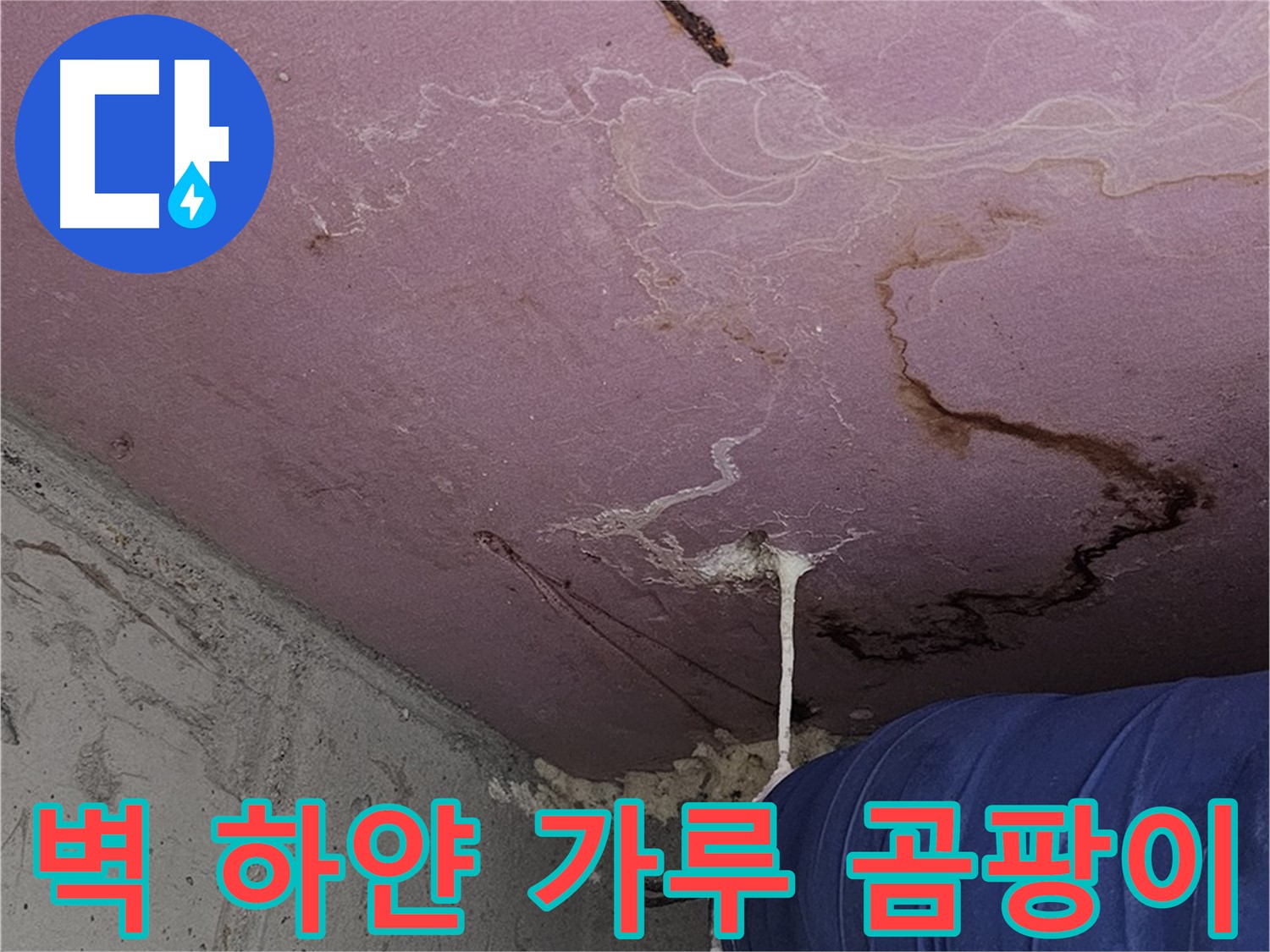 양천구 신월동 누수 - 벽 하얀 가루 - 곰팡이 서식지