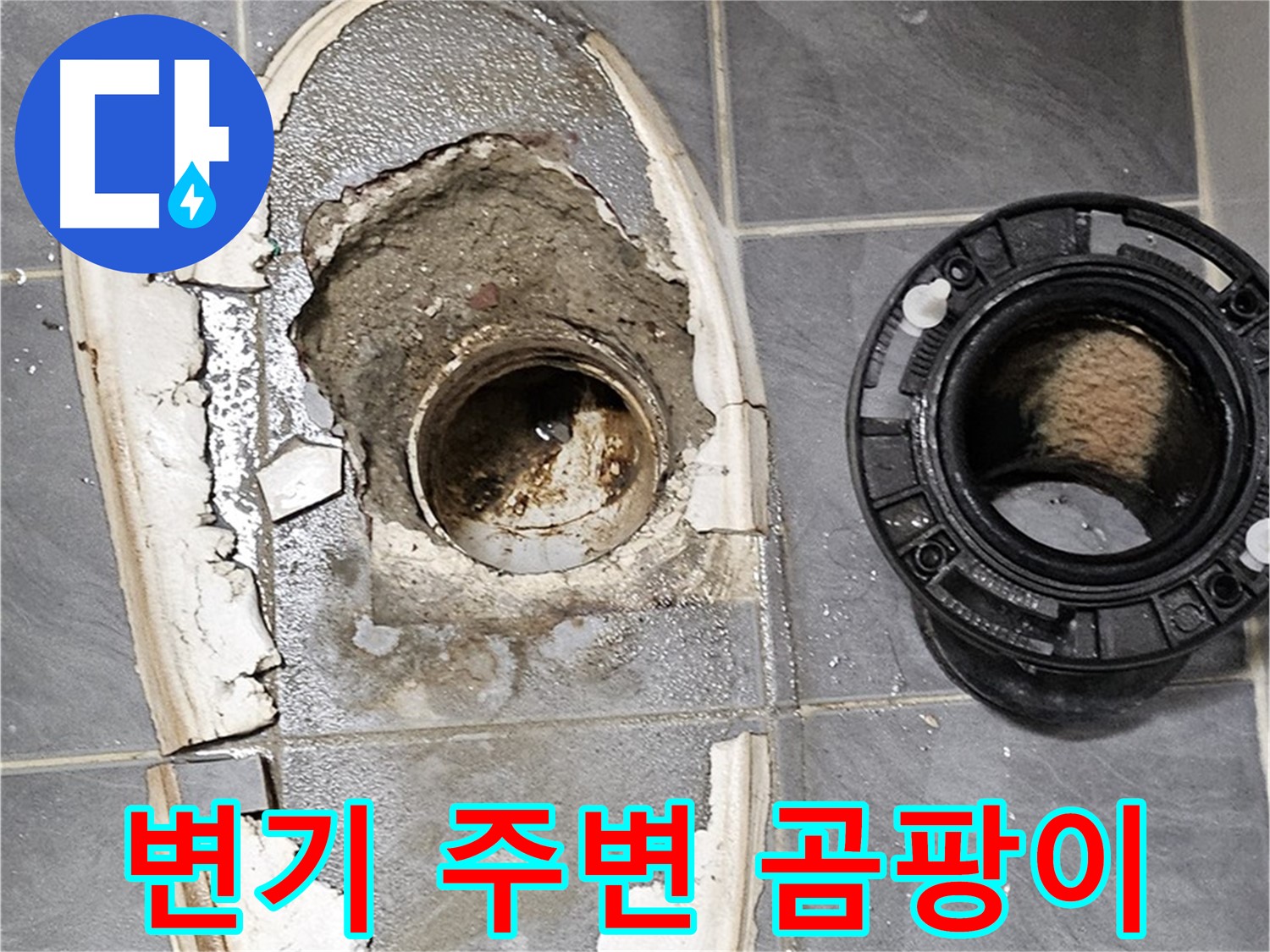 양천구 신월동 변기 누수 - 변기 주변 곰팡이