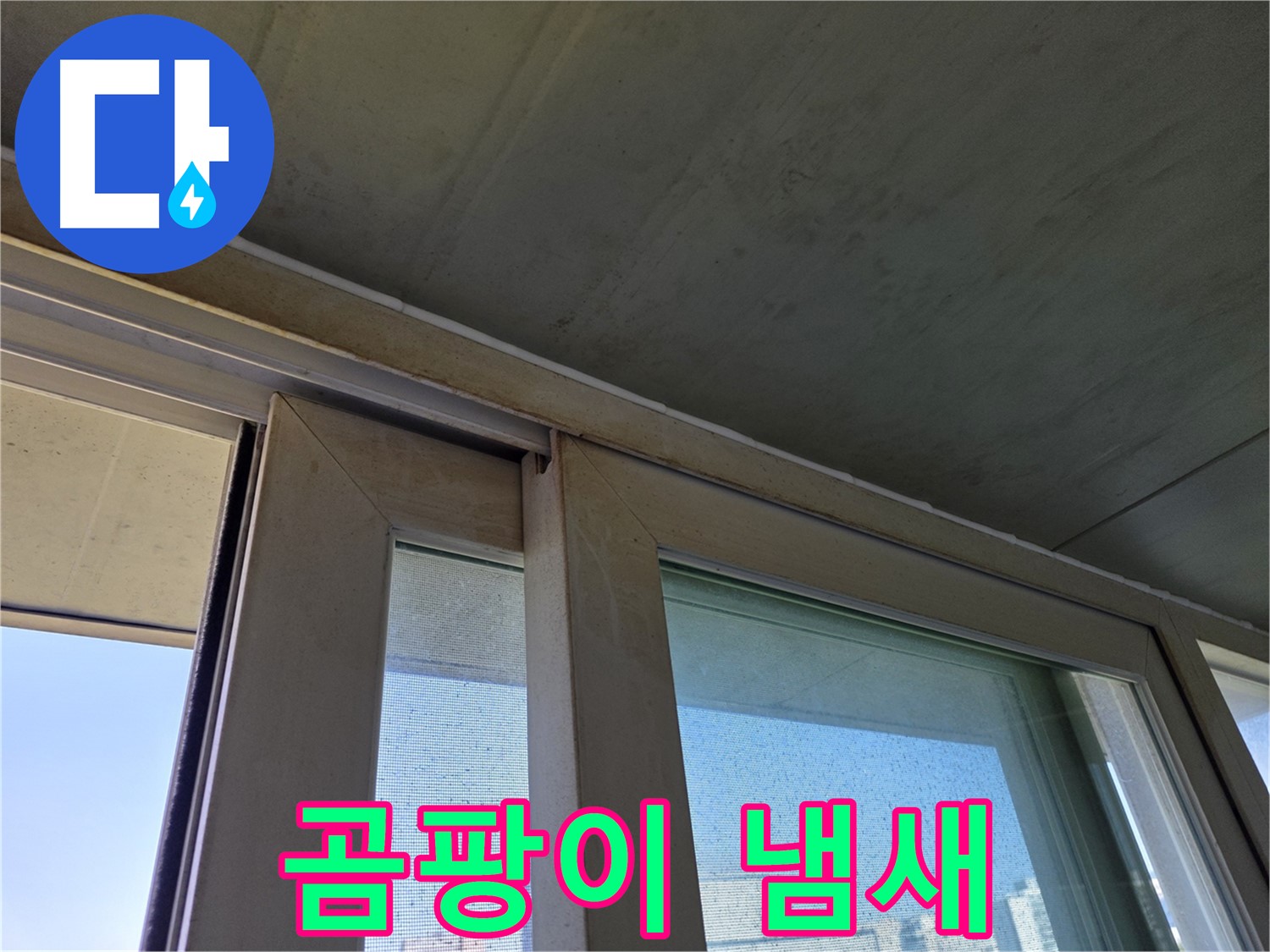 양천구 신월동 창틀 누수 - 곰팡이 냄새 - 불쾌감 유발