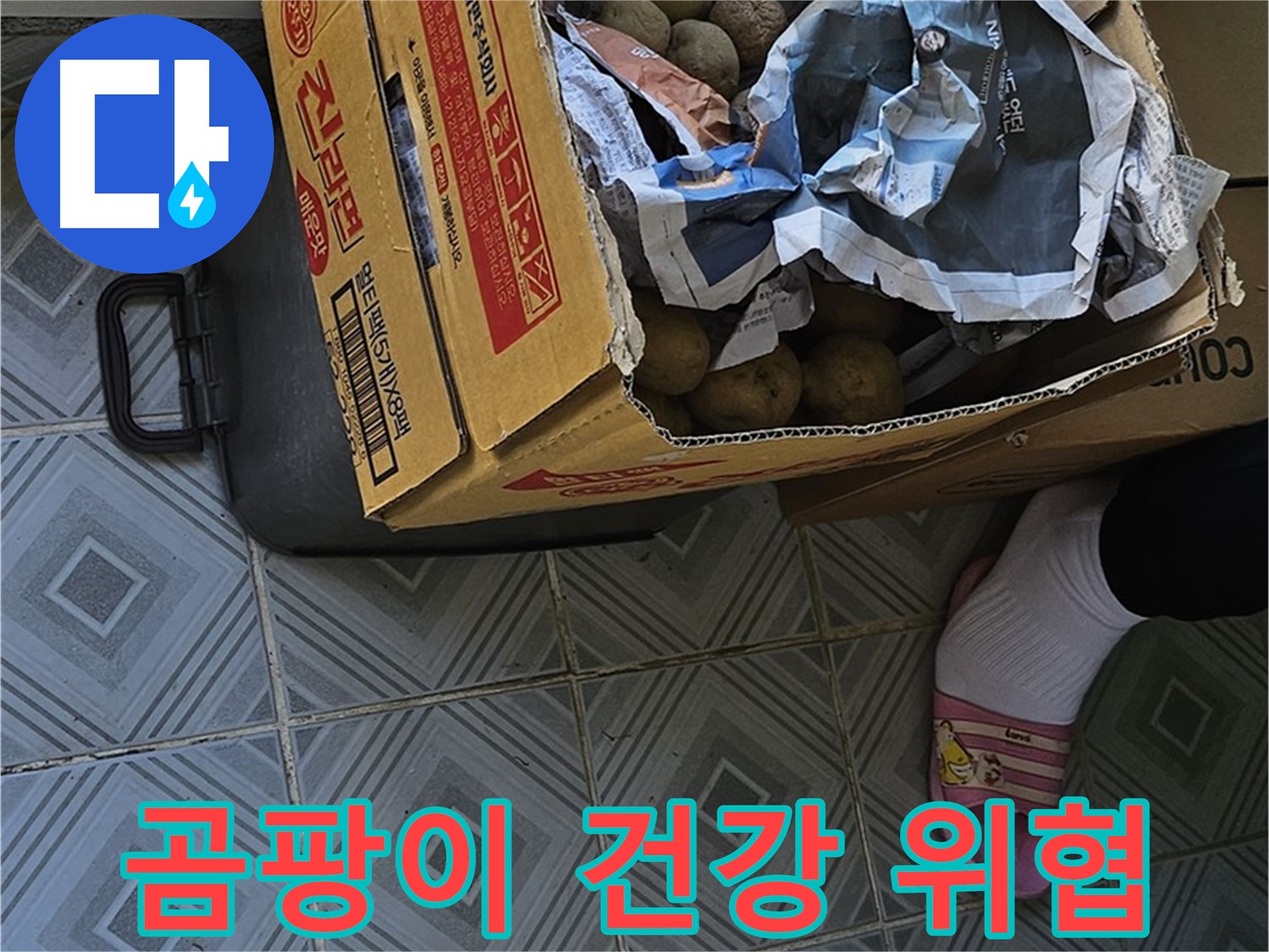 양천구 오목로 엘리시안 누수 현장 - 감자 박스 주변 곰팡이는 건강에 치명적일 수 있습니다 - 긴급 조치가 필요합니다.