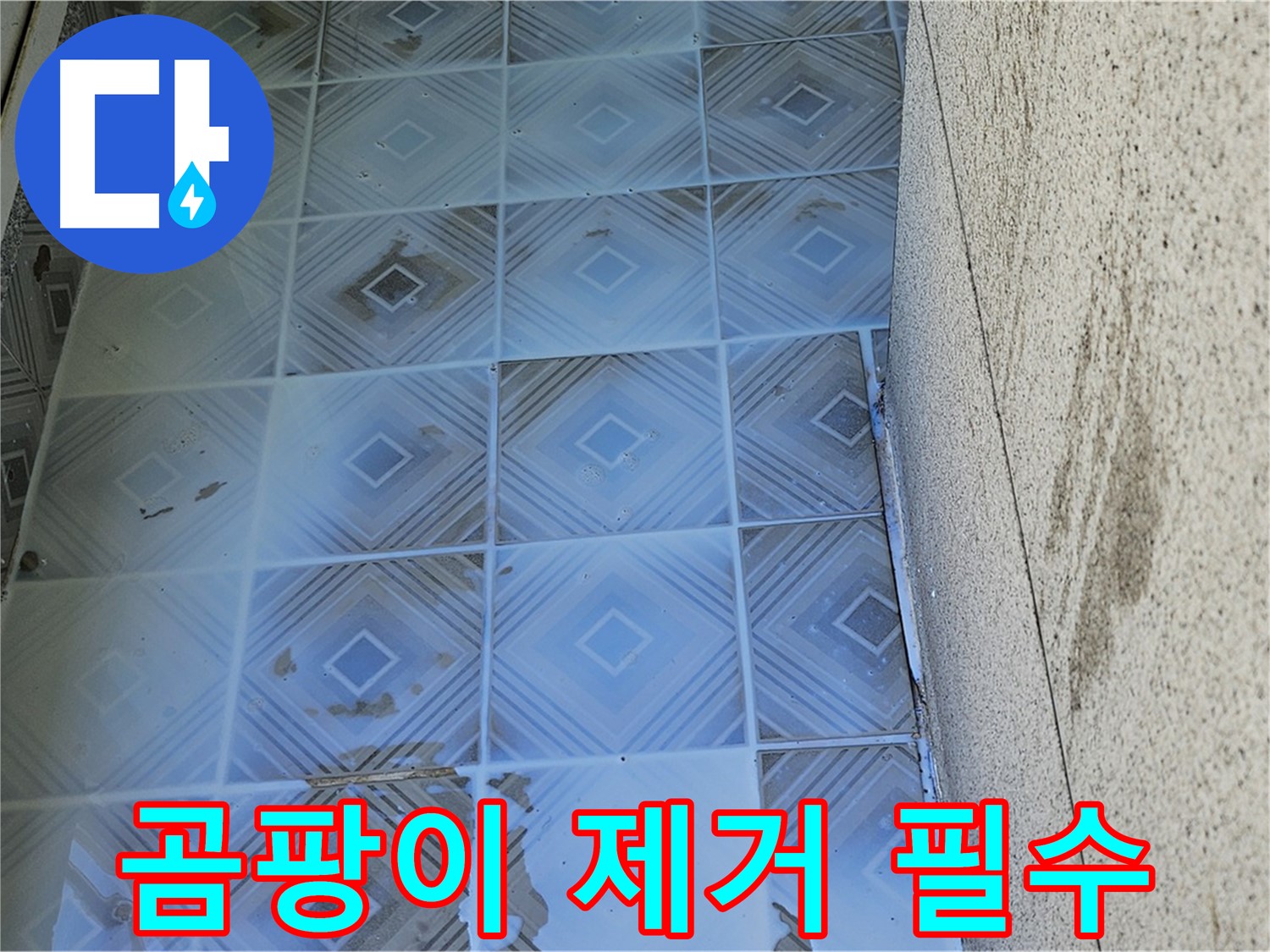 타일 누수 - 틈새 곰팡이 제거 - 상쾌한 우리집
