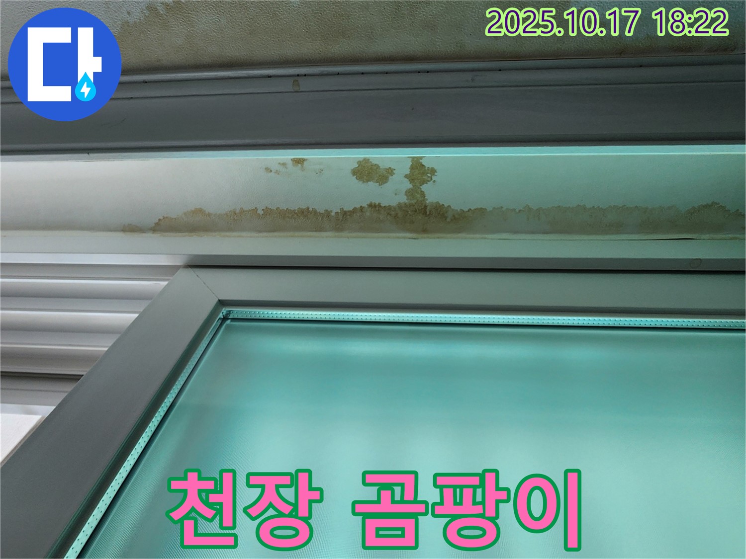 양주 상수리 누수 현장 - 천장 누수로 인해 발생한 곰팡이를 확인하고 있습니다.