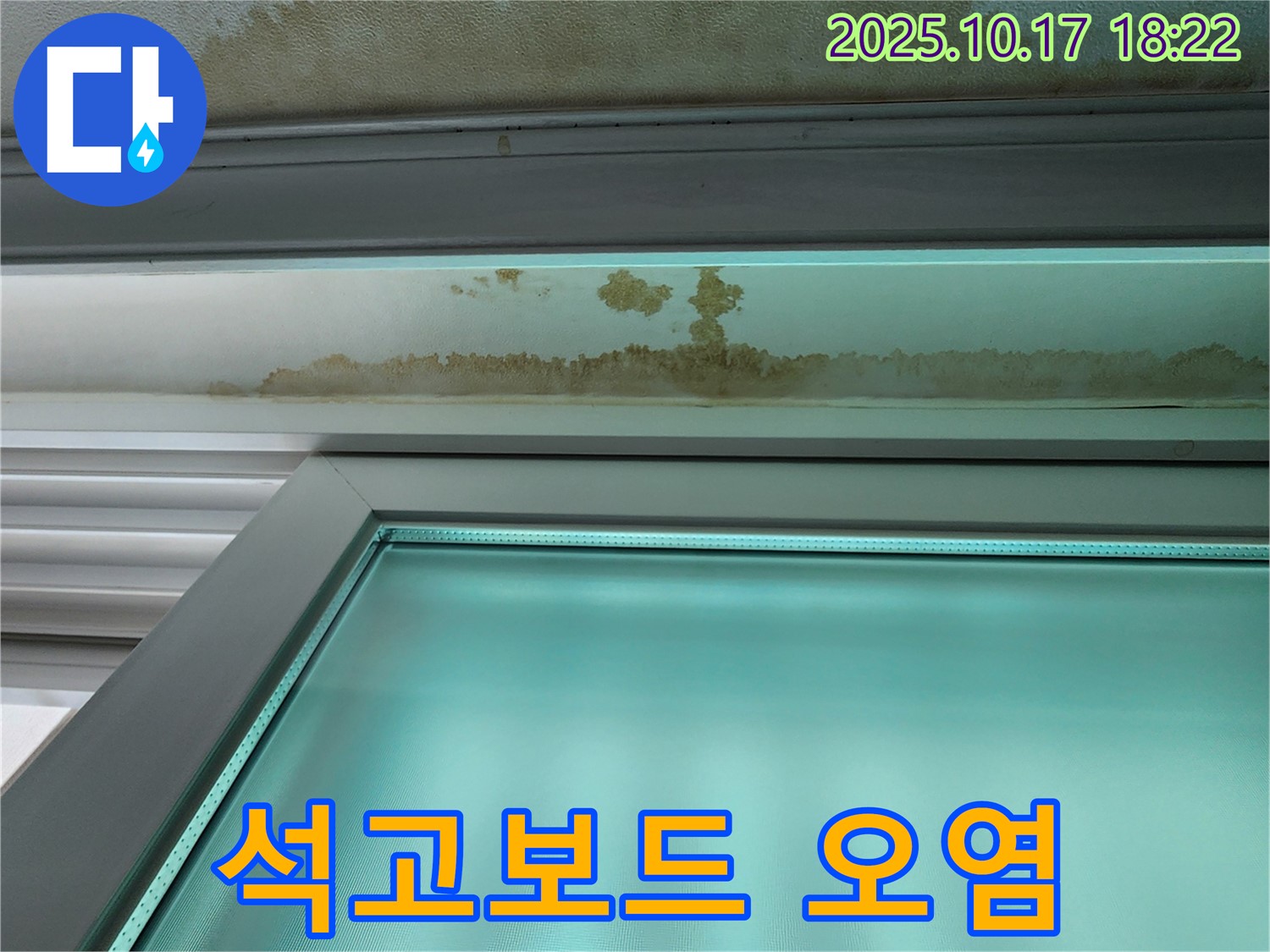 양주시 남면 상수리 누수 현장 - 천장 석고보드 오염 상태를 확인하고 있습니다.