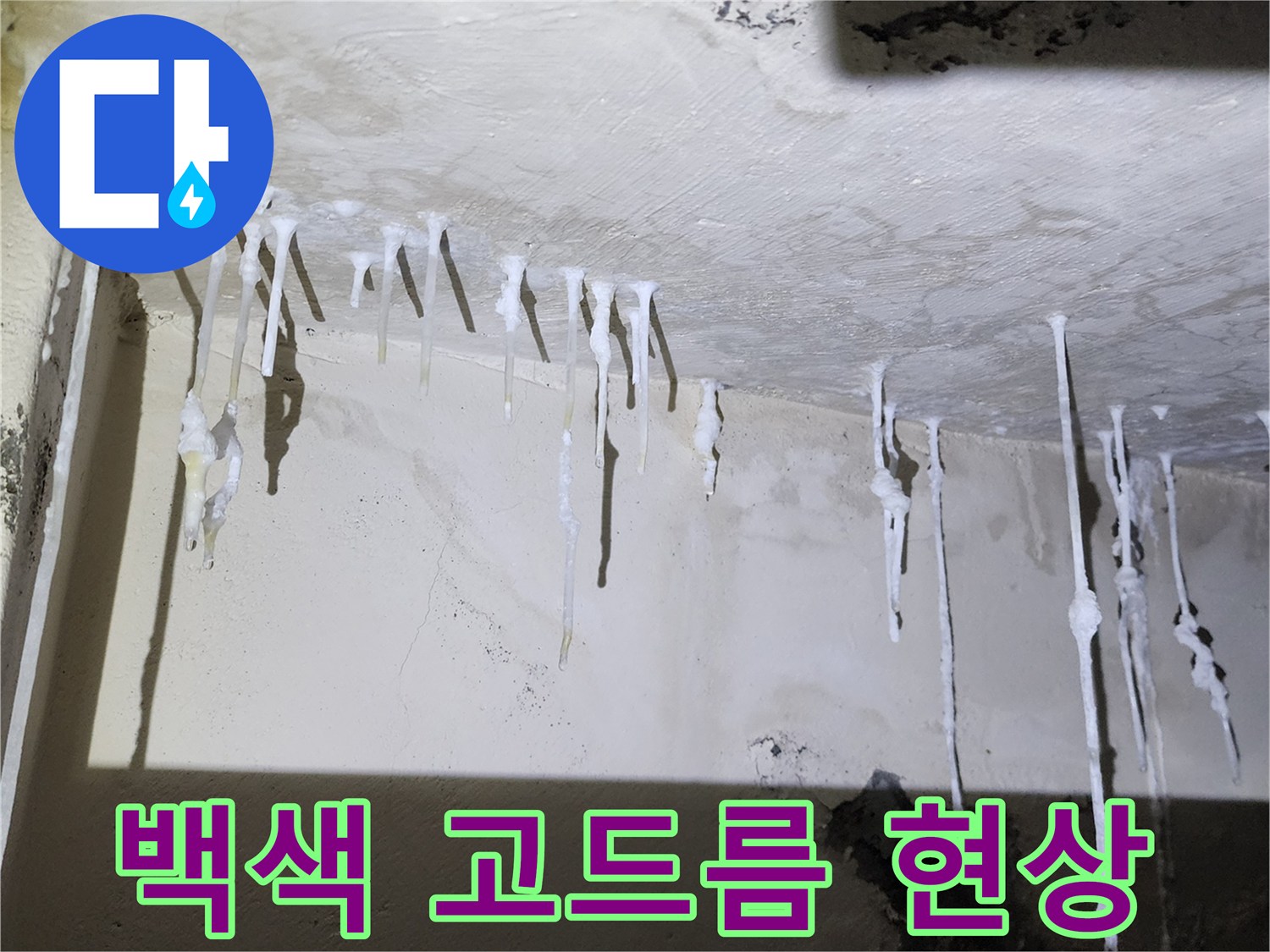천장에서 하얗게 맺혀 내려온 석회 성분