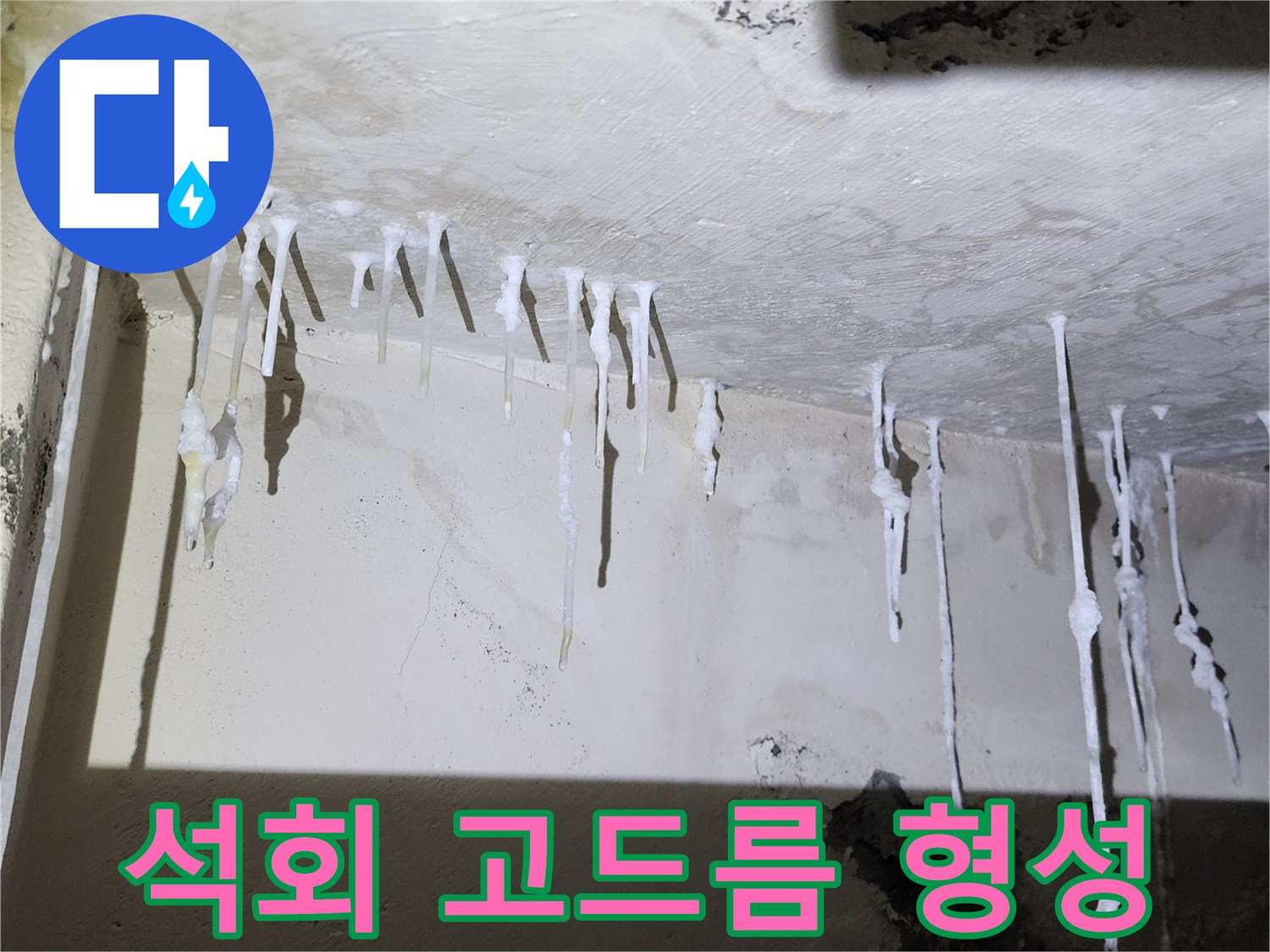 화장실 천장 석회물-굳어서 형성된 고드름 형태