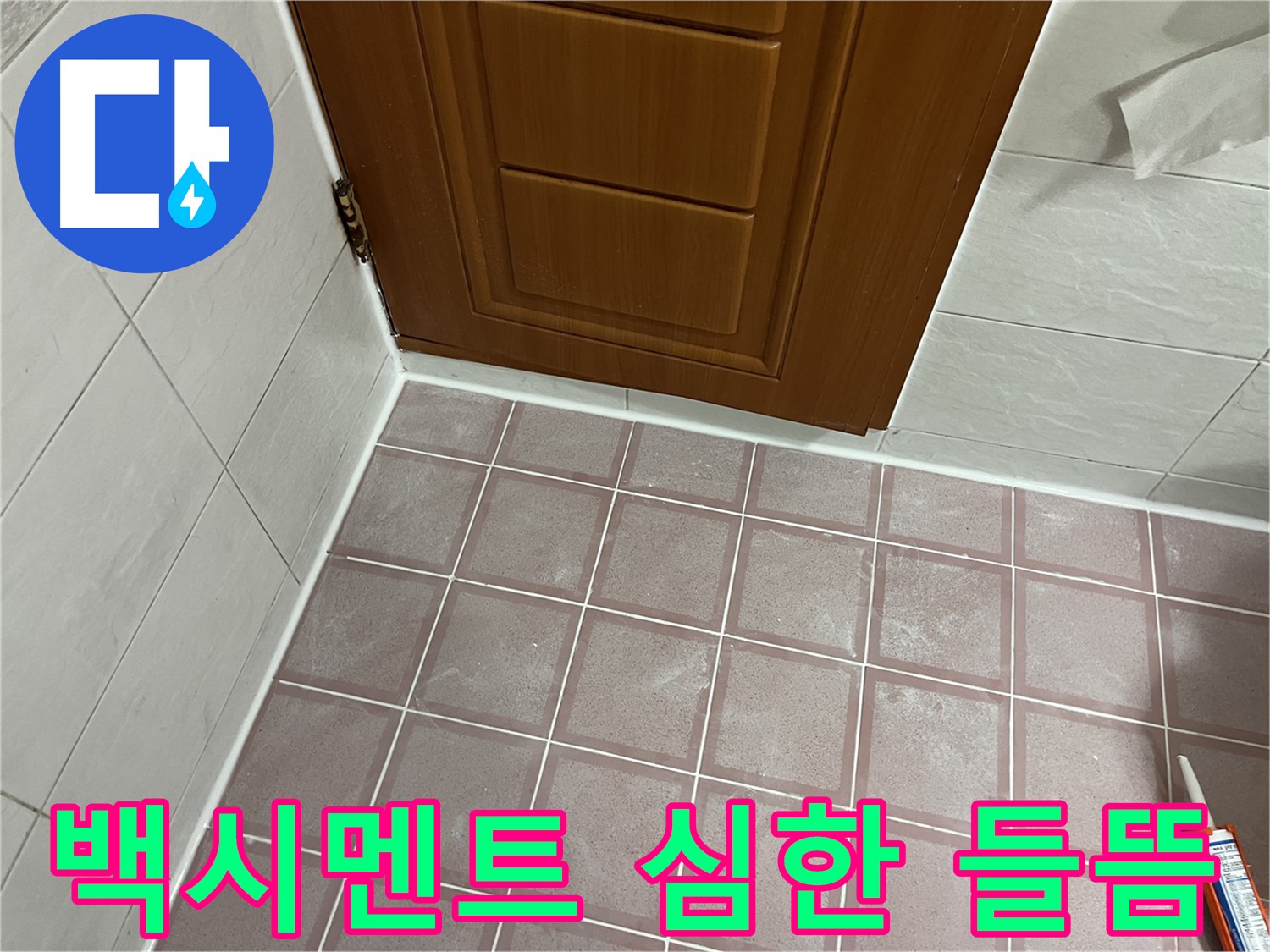 금천구 독산동 형제맨션빌 욕실 - 문턱 주변 타일 틈새 백시멘트의 심한 들뜸과 균열 확인