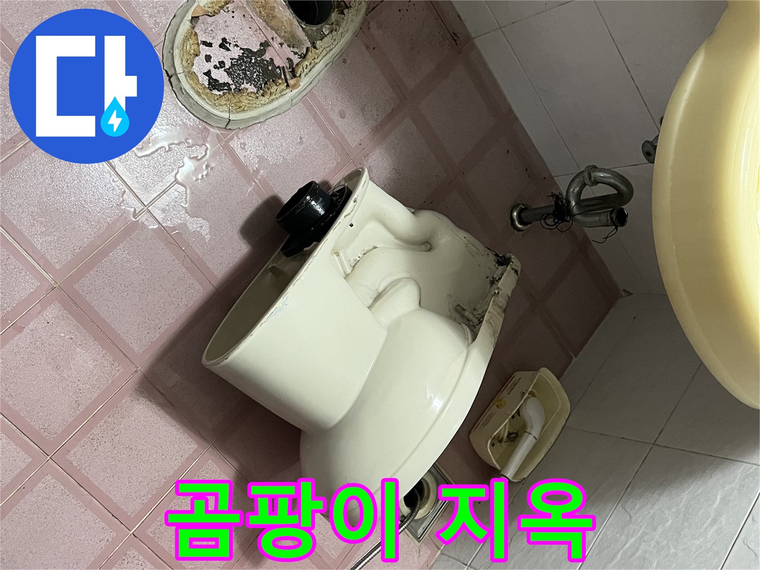 금천구 독산동 형제빌 - 변기 철거 후 곰팡이 지옥