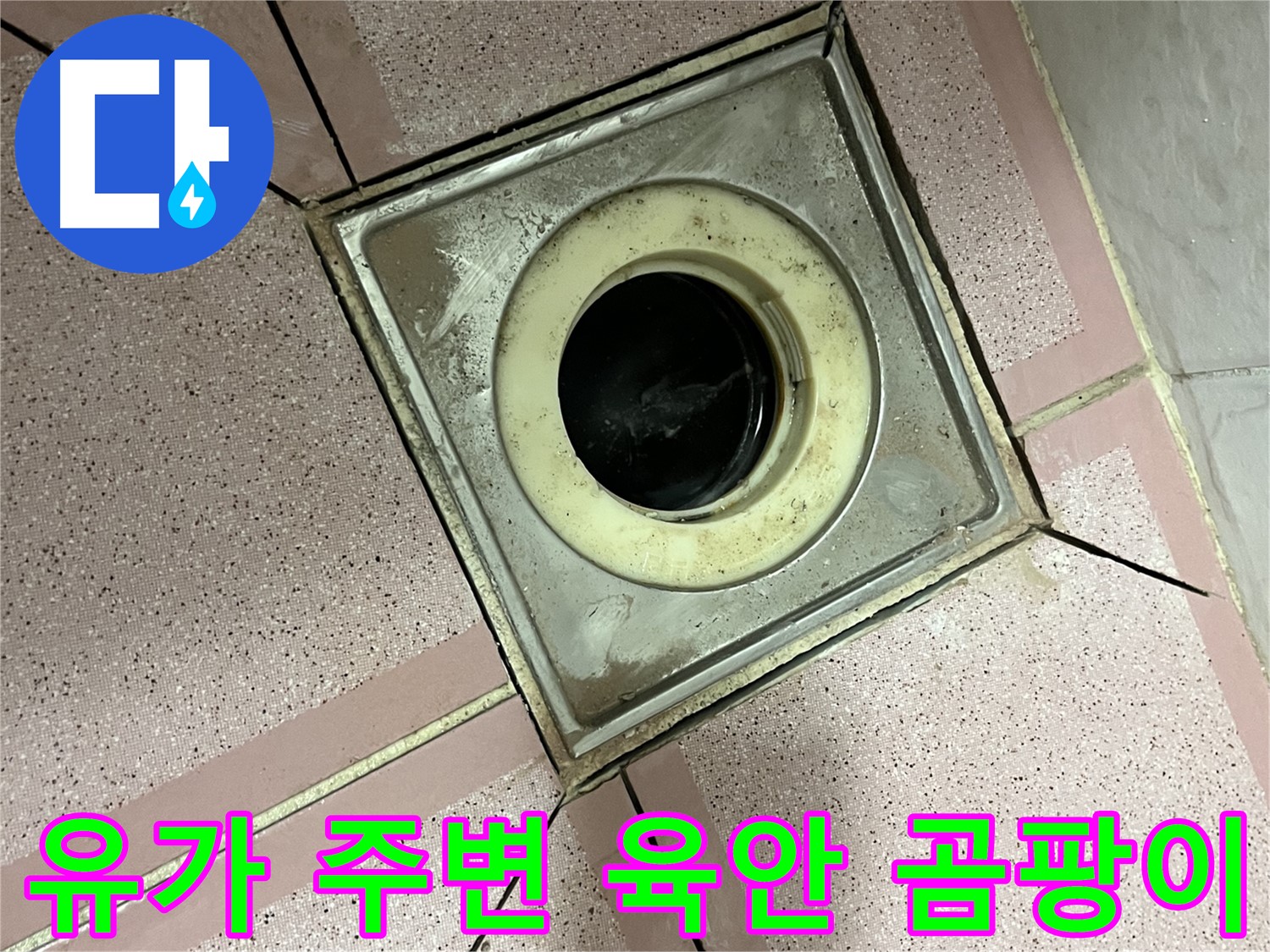 금천구 독산동 형제빌 유가 주변 육안 및 곰팡이 점검 - 종합 누수 진단