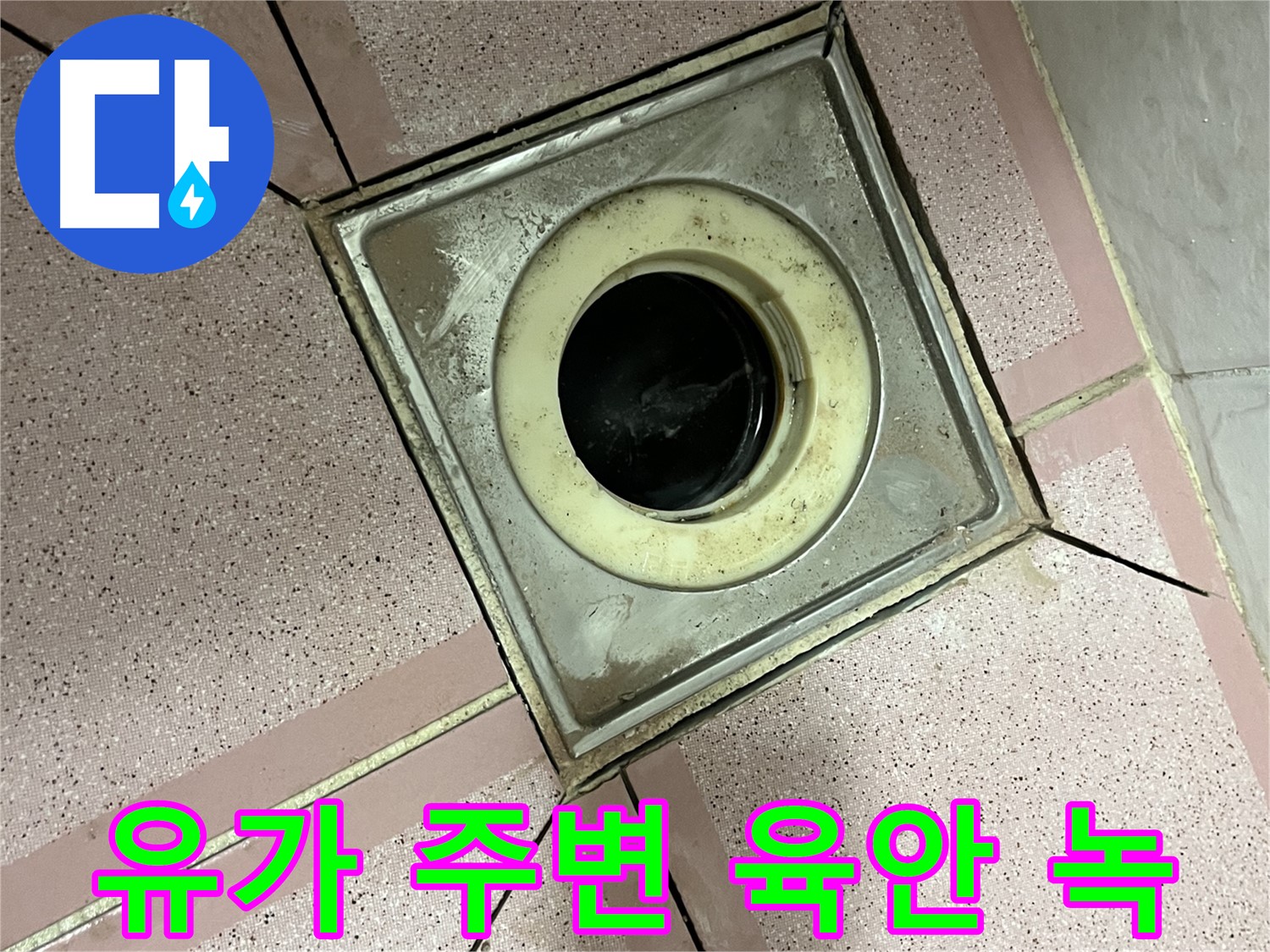 금천구 독산동 형제빌 유가 주변 육안 및 녹 점검 - 종합 누수 진단