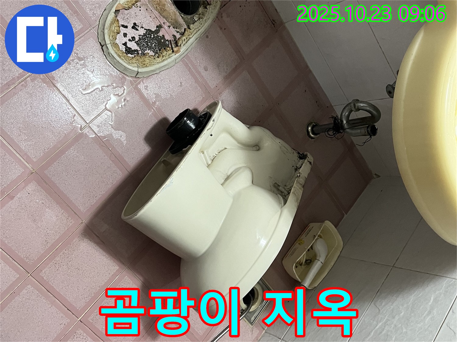 독산동 형제맨션빌 - 곰팡이 지옥, 청소 전문가 출동!