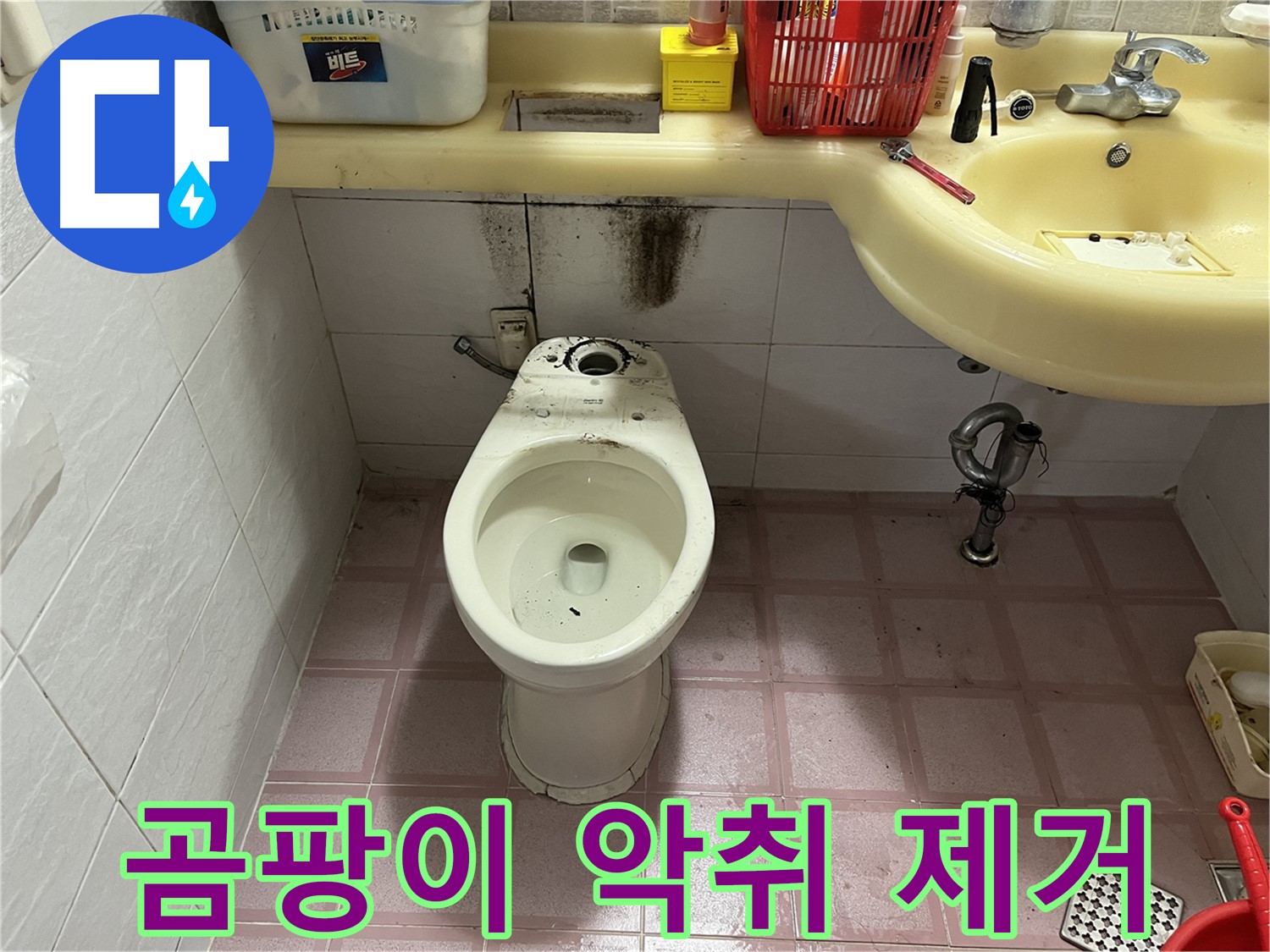 독산동 형제맨션빌 변기 누수 - 곰팡이와 악취 완벽 제거 약속