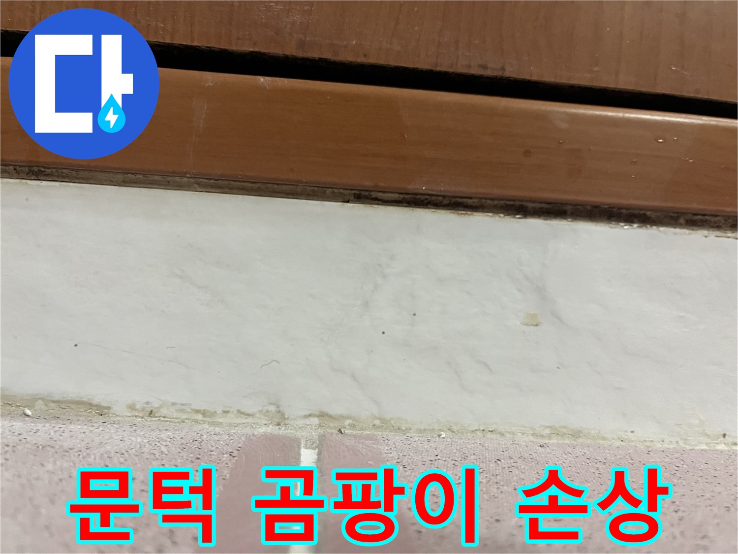 형제맨션빌 누수 - 문턱 아래 타일 틈새 곰팡이와 백시멘트 손상
