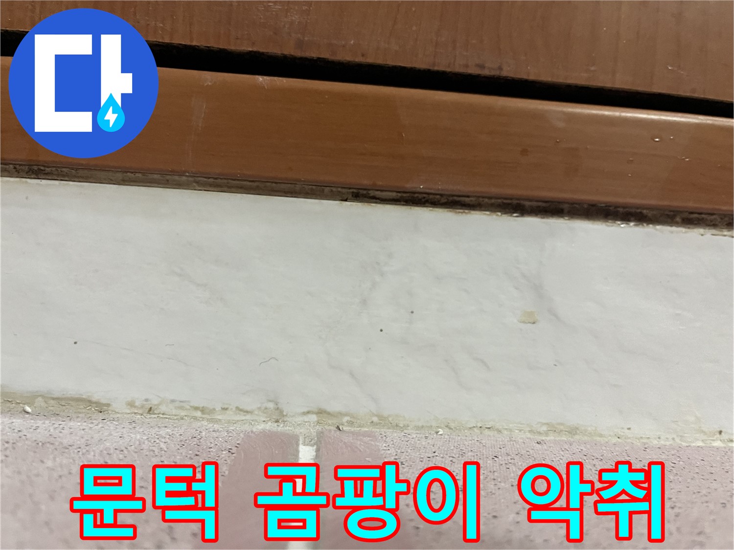 형제맨션빌 누수 - 문턱 아래 타일 틈새 곰팡이와 악취