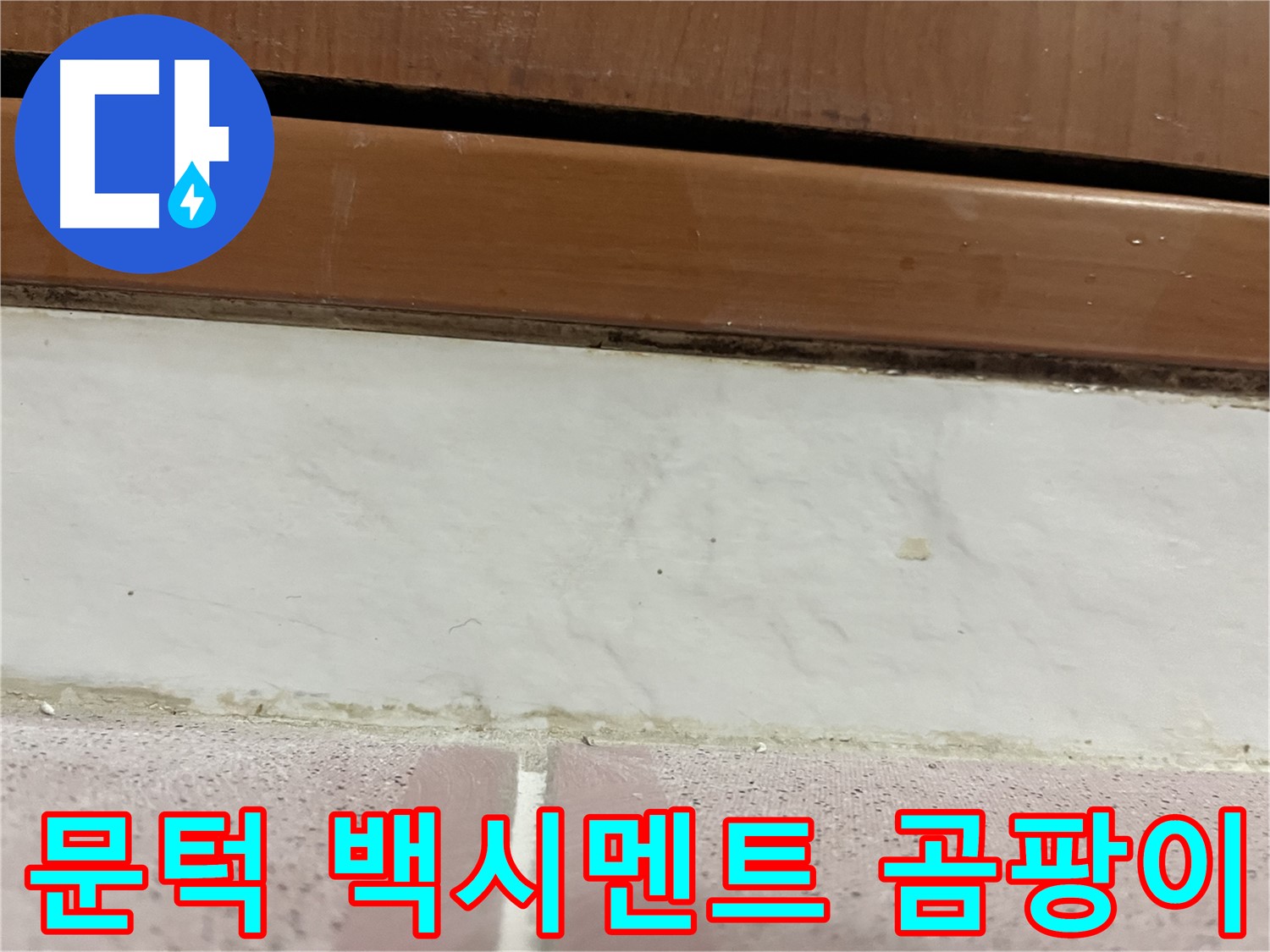 형제맨션빌 누수 - 문턱 아래 타일 틈새 백시멘트 손상과 곰팡이