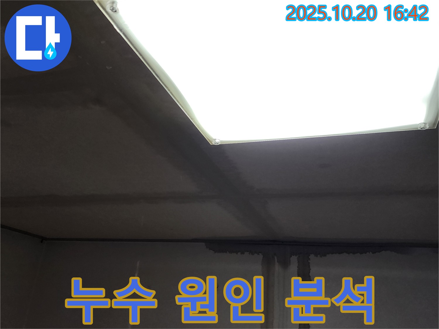 장흥면 부곡리 콘크리트 천장 누수 - 누수 원인 완벽 분석을 통한 확실한 해결