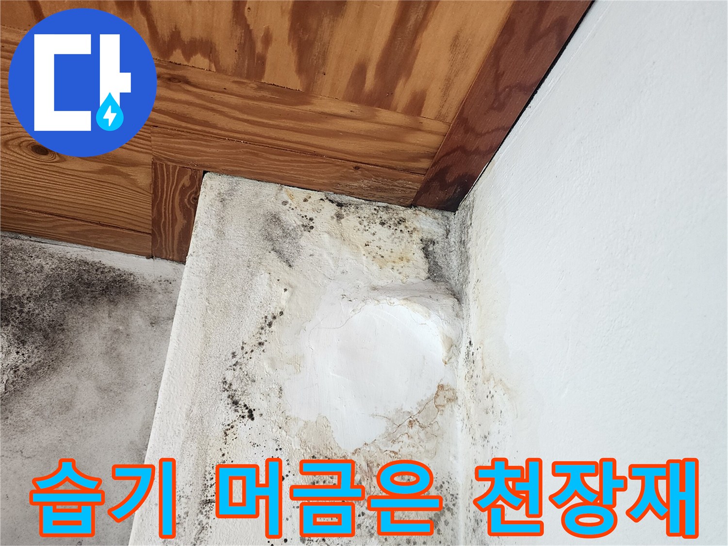 물기에-젖어-변색된-천장-목재-구조
