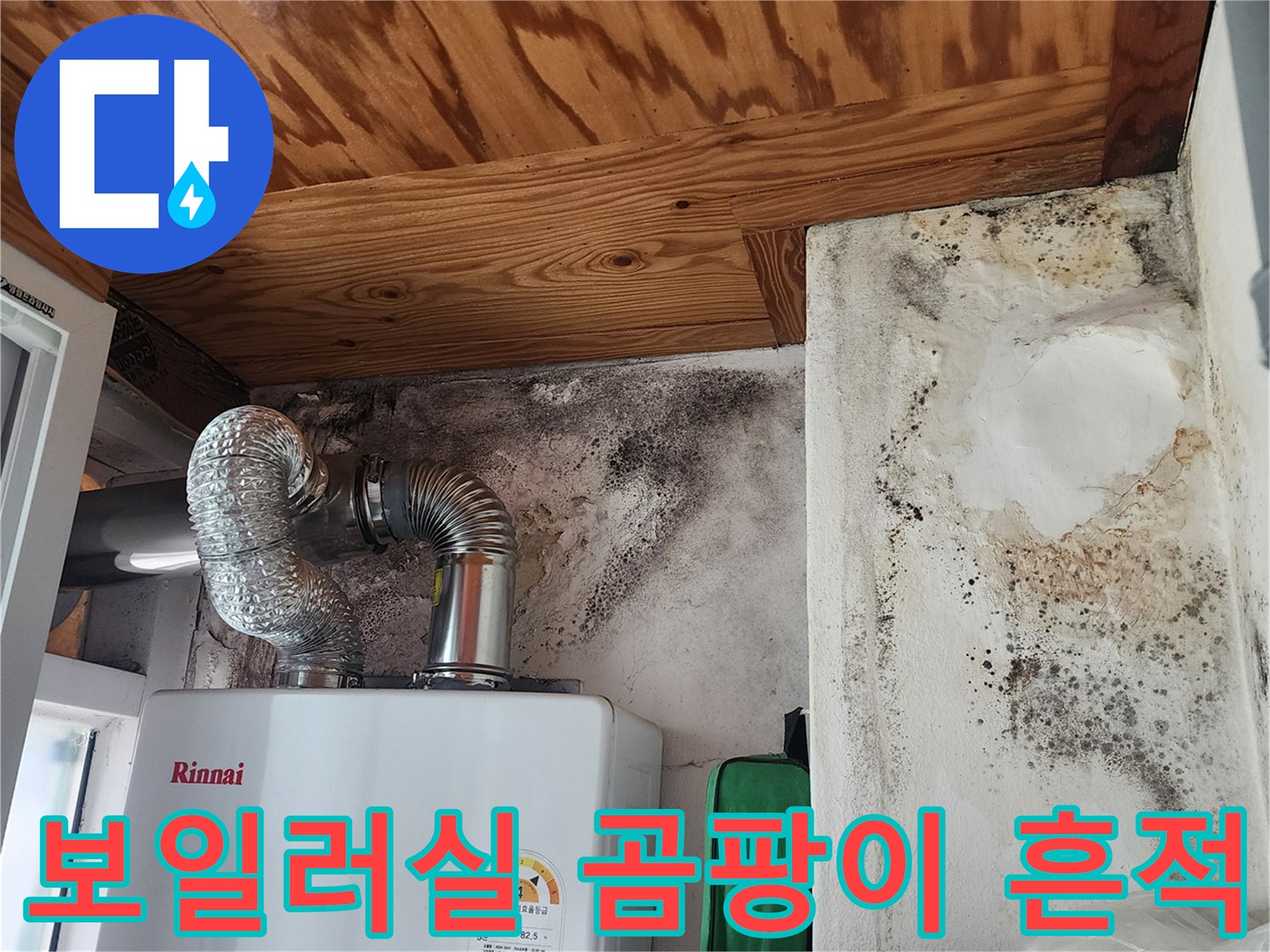 보일러 연통 주변 벽면의 검은 곰팡이와 천장 목재 변색 상태