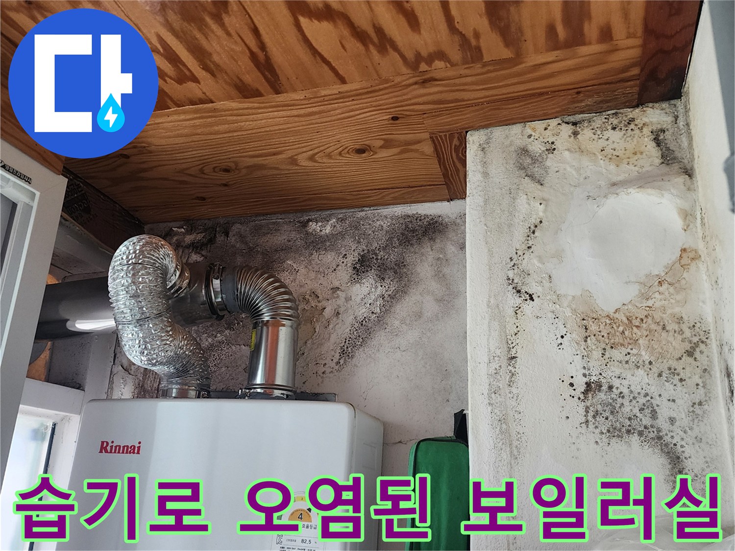 습기 침투로 인해 변색된 천장과 곰팡이가 발생한 벽면